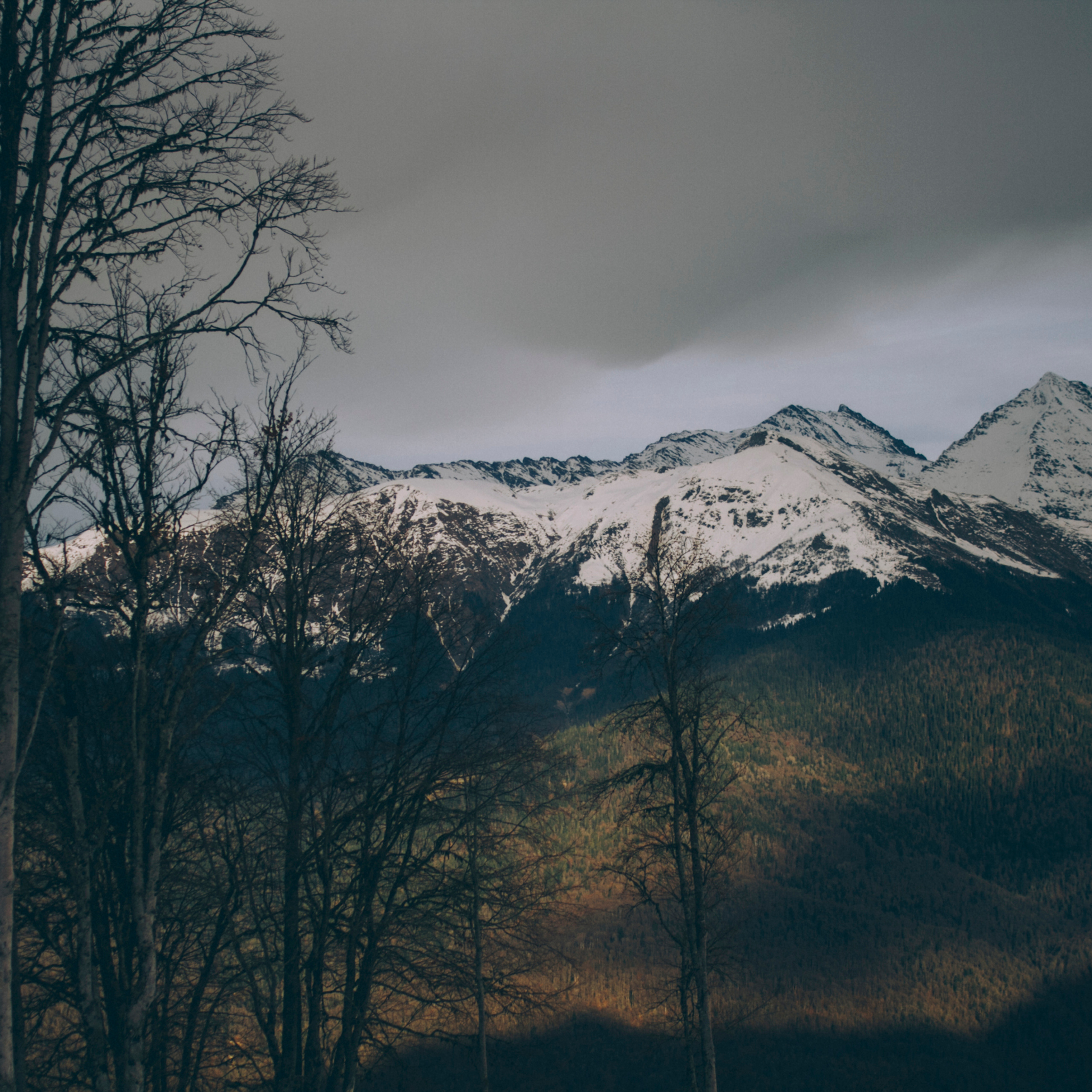 Сочи (декабрь 2017)