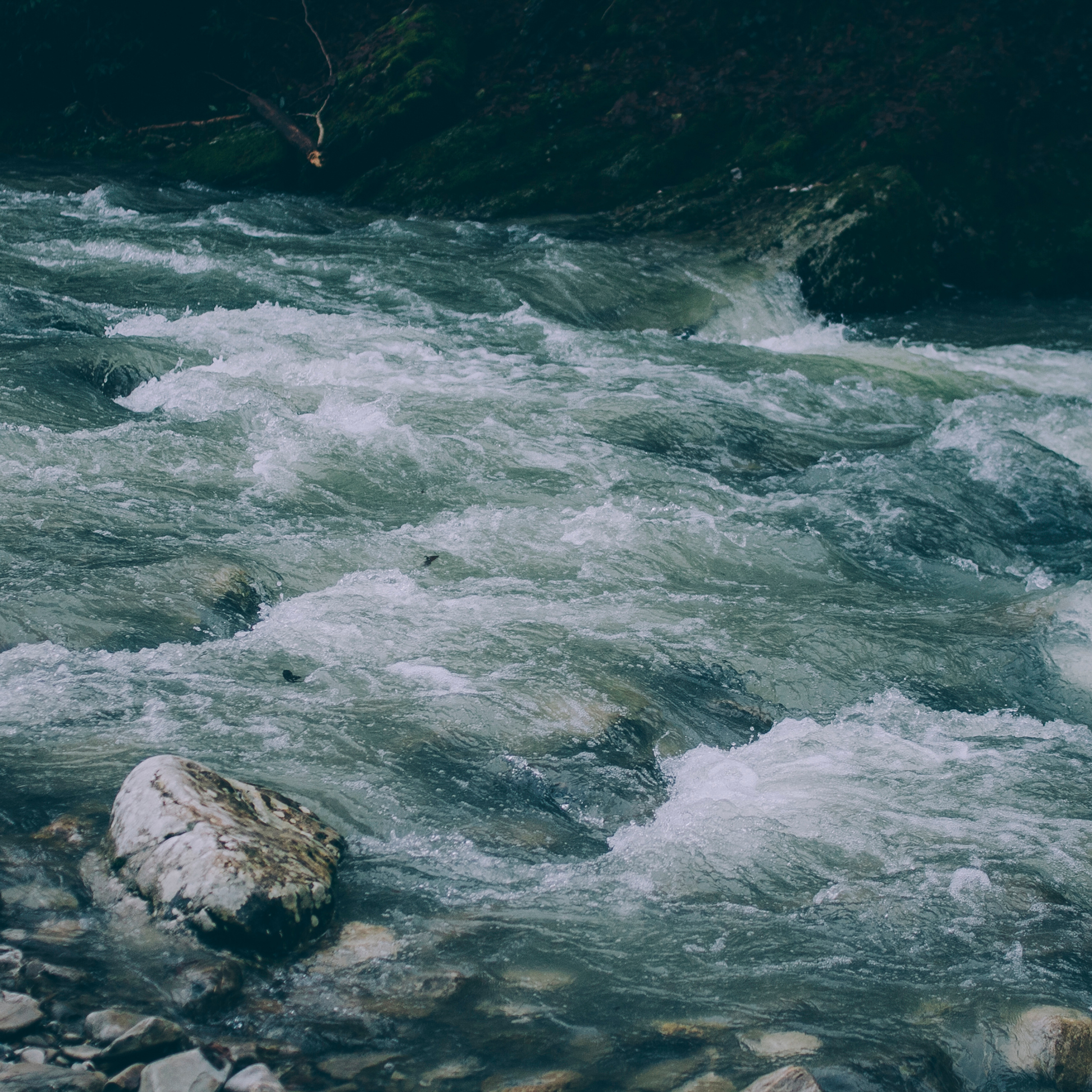 Сочи (декабрь 2017)