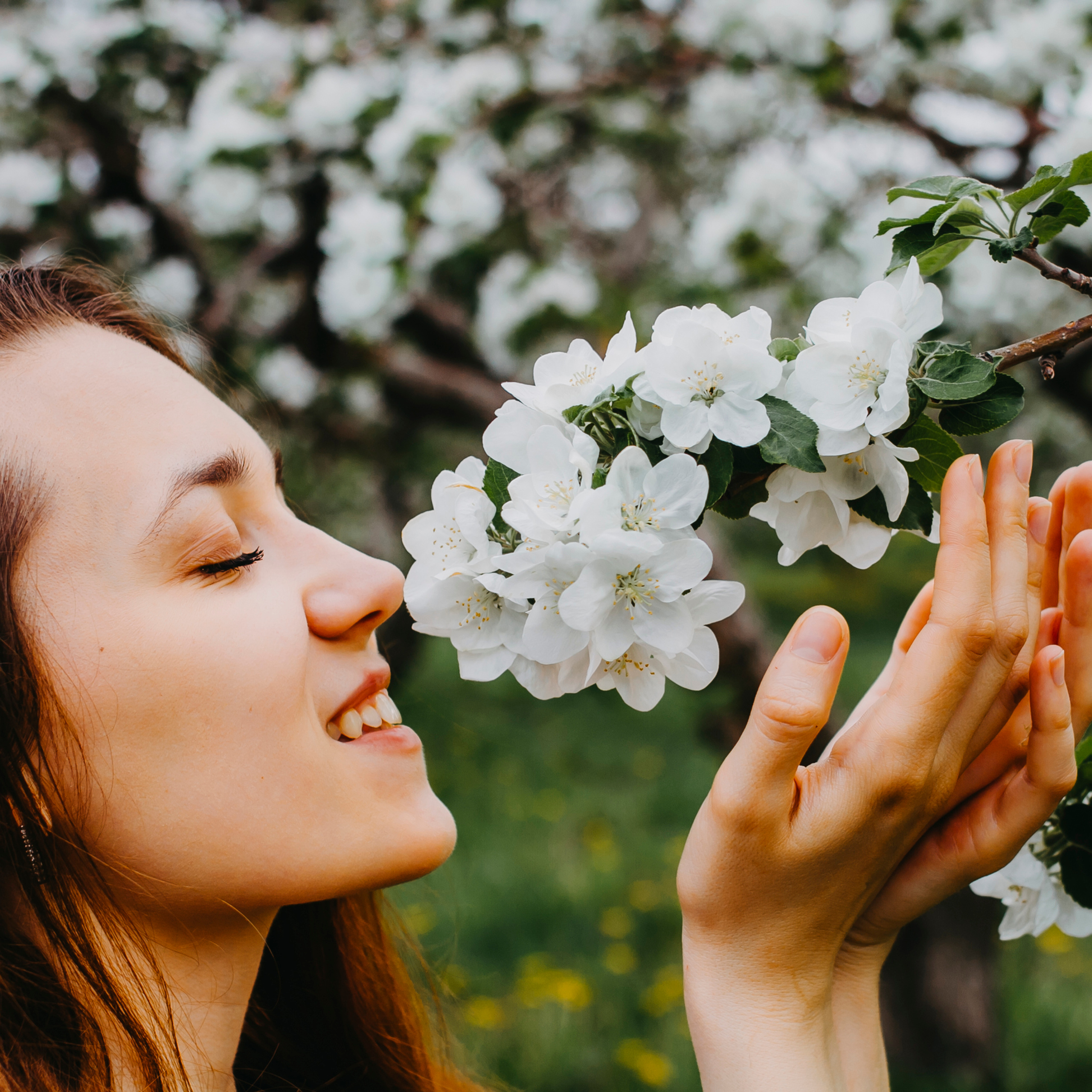 Хвалынские яблоневые сады (май 2019)