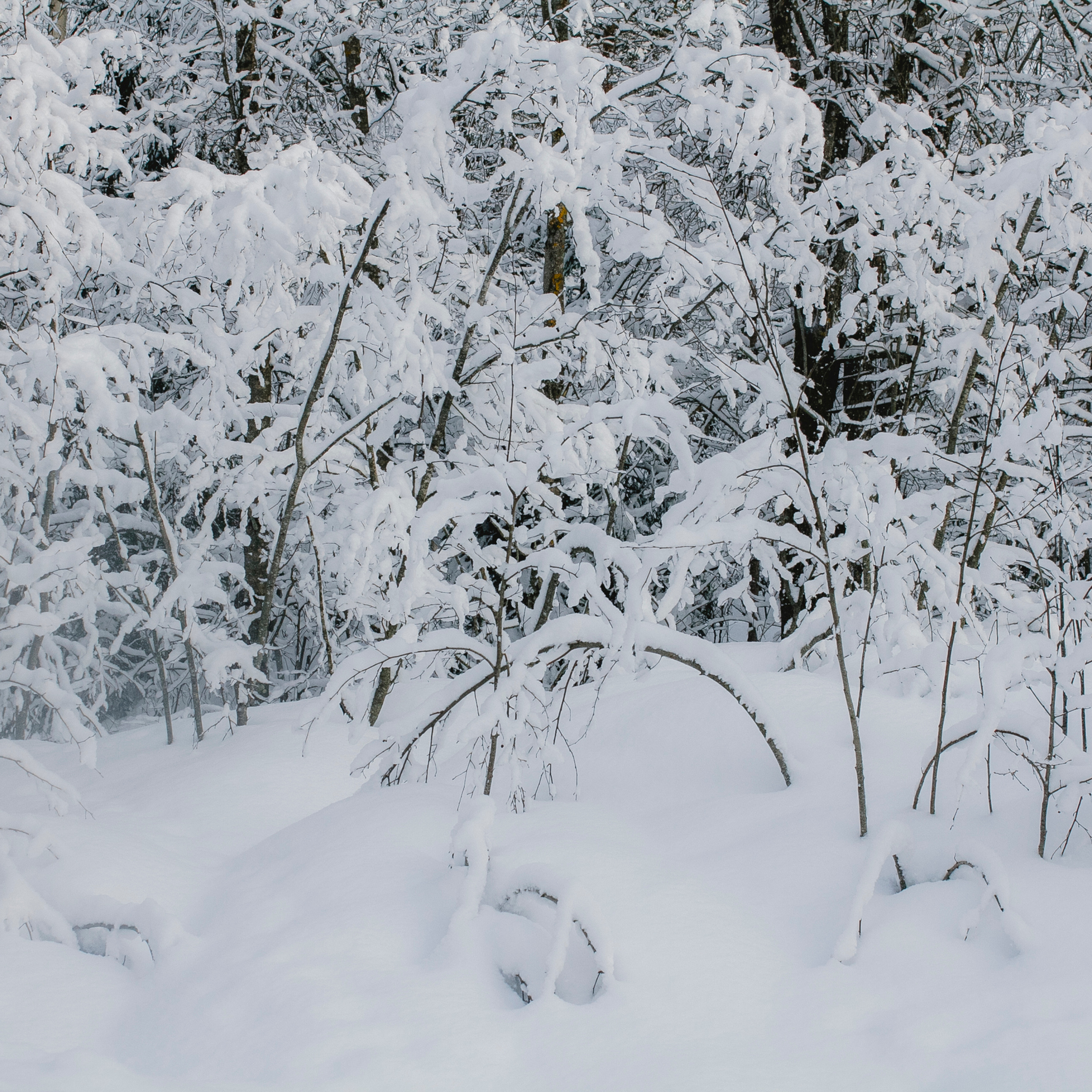 Рускеала Карелия (февраль 2018)