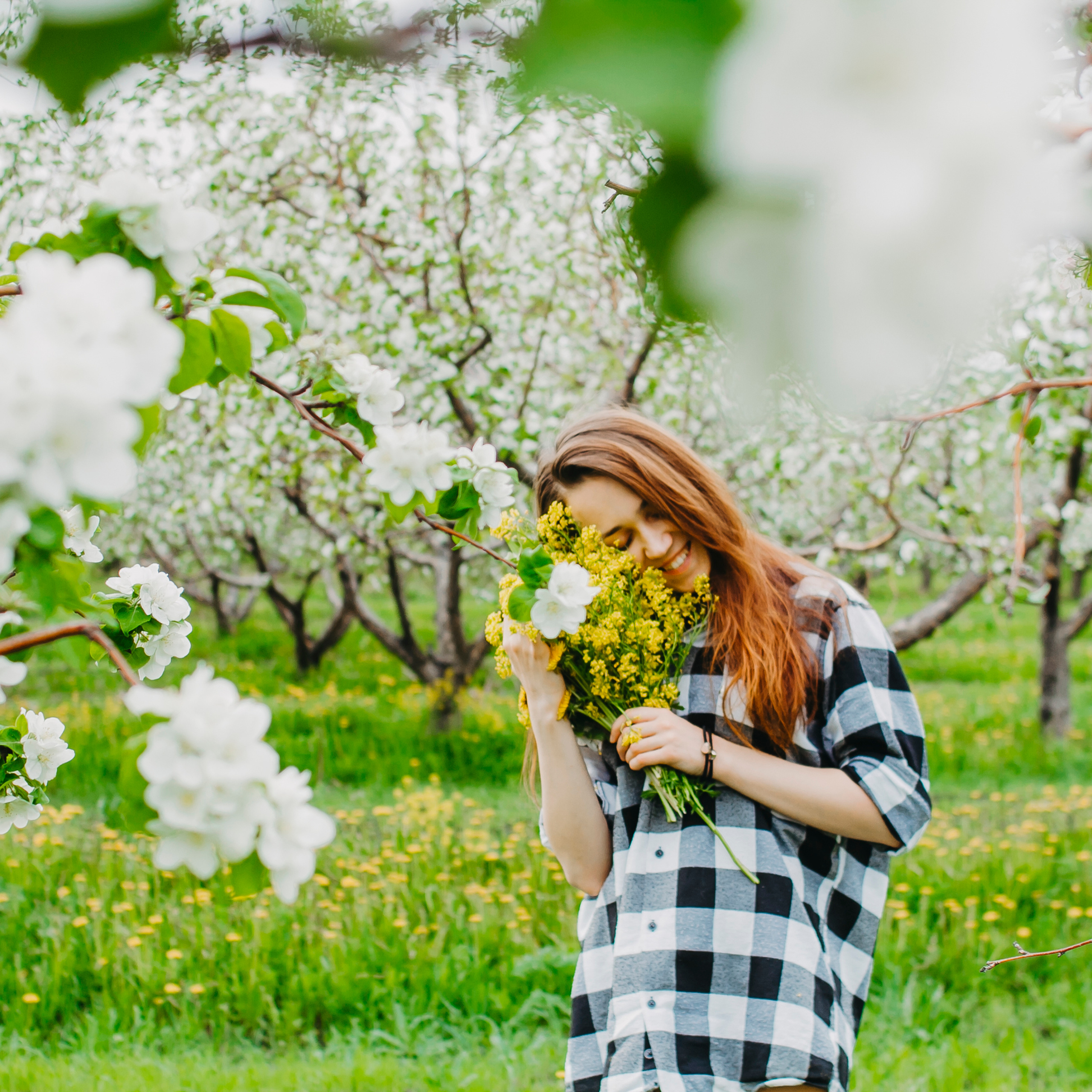 Хвалынские яблоневые сады (май 2019)