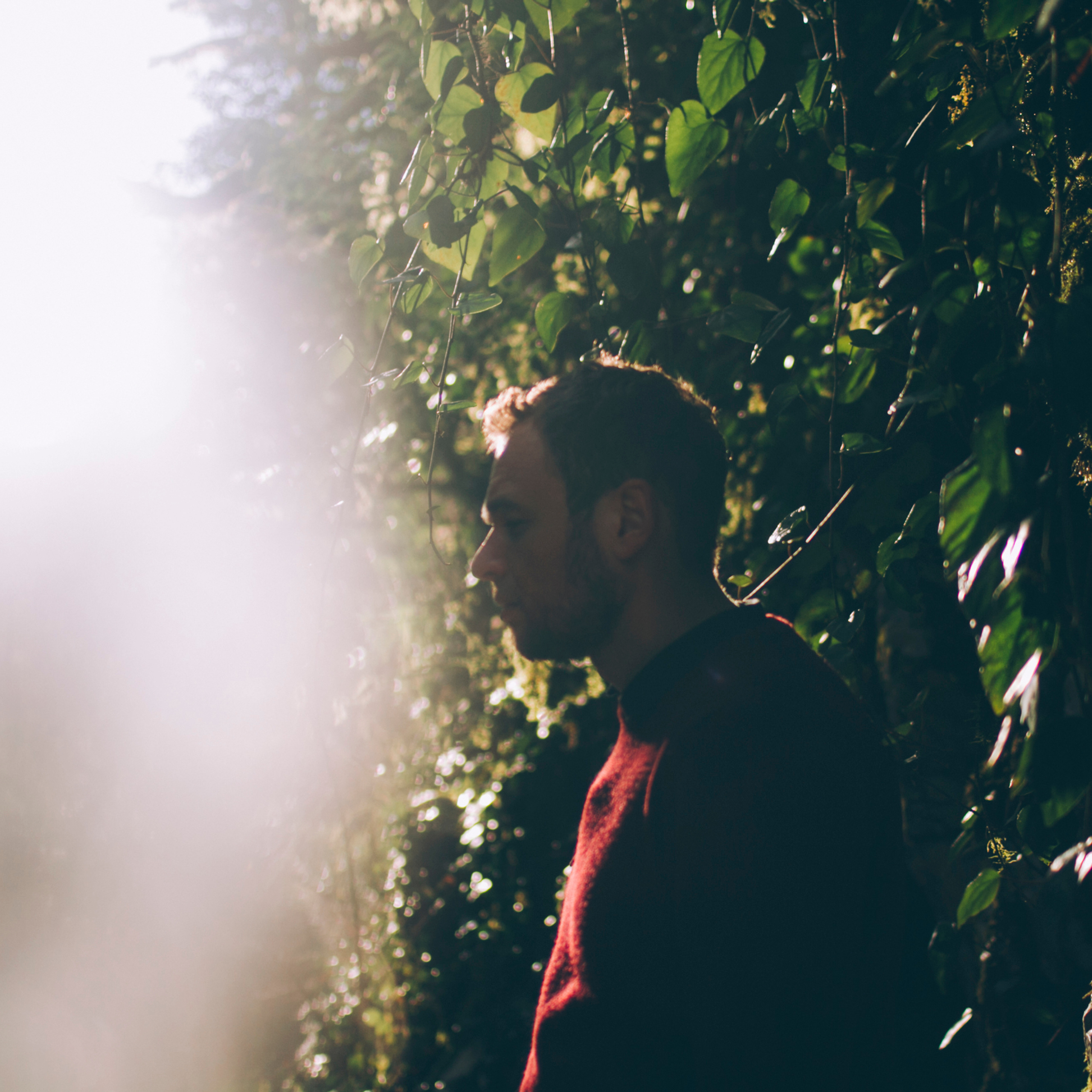 Сочи (декабрь 2017)