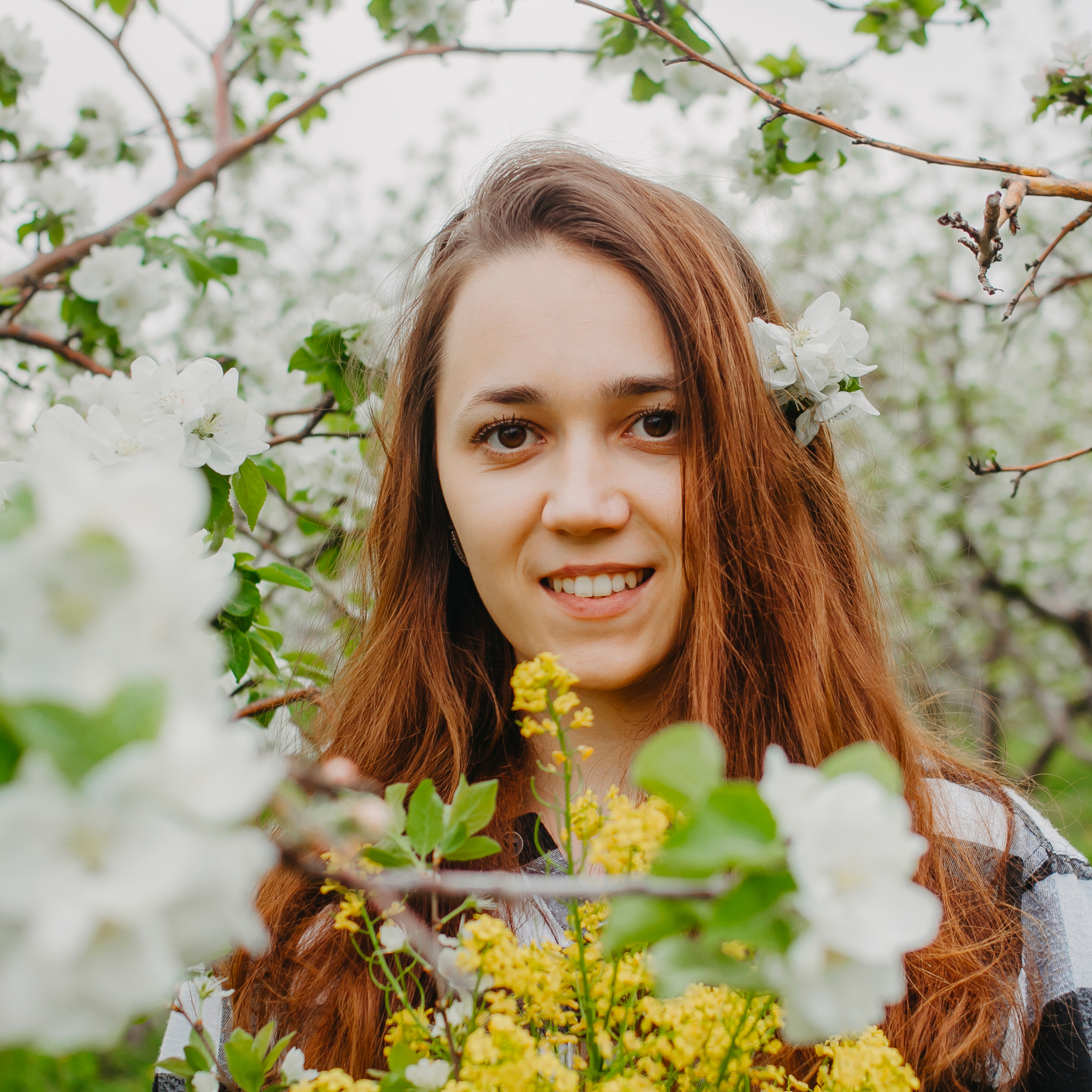 Хвалынские яблоневые сады (май 2019)