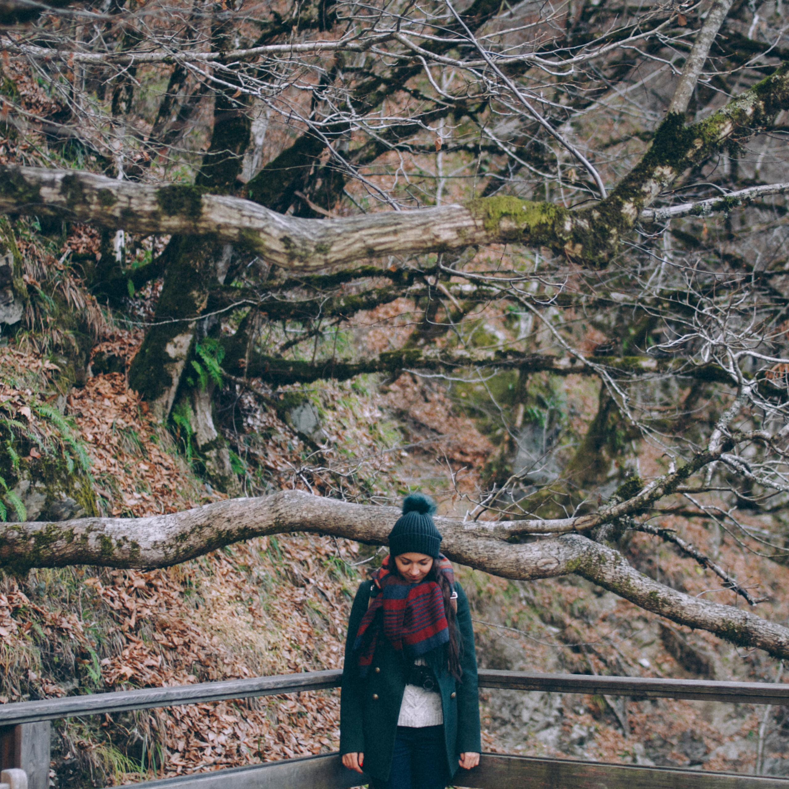 Сочи (декабрь 2017)