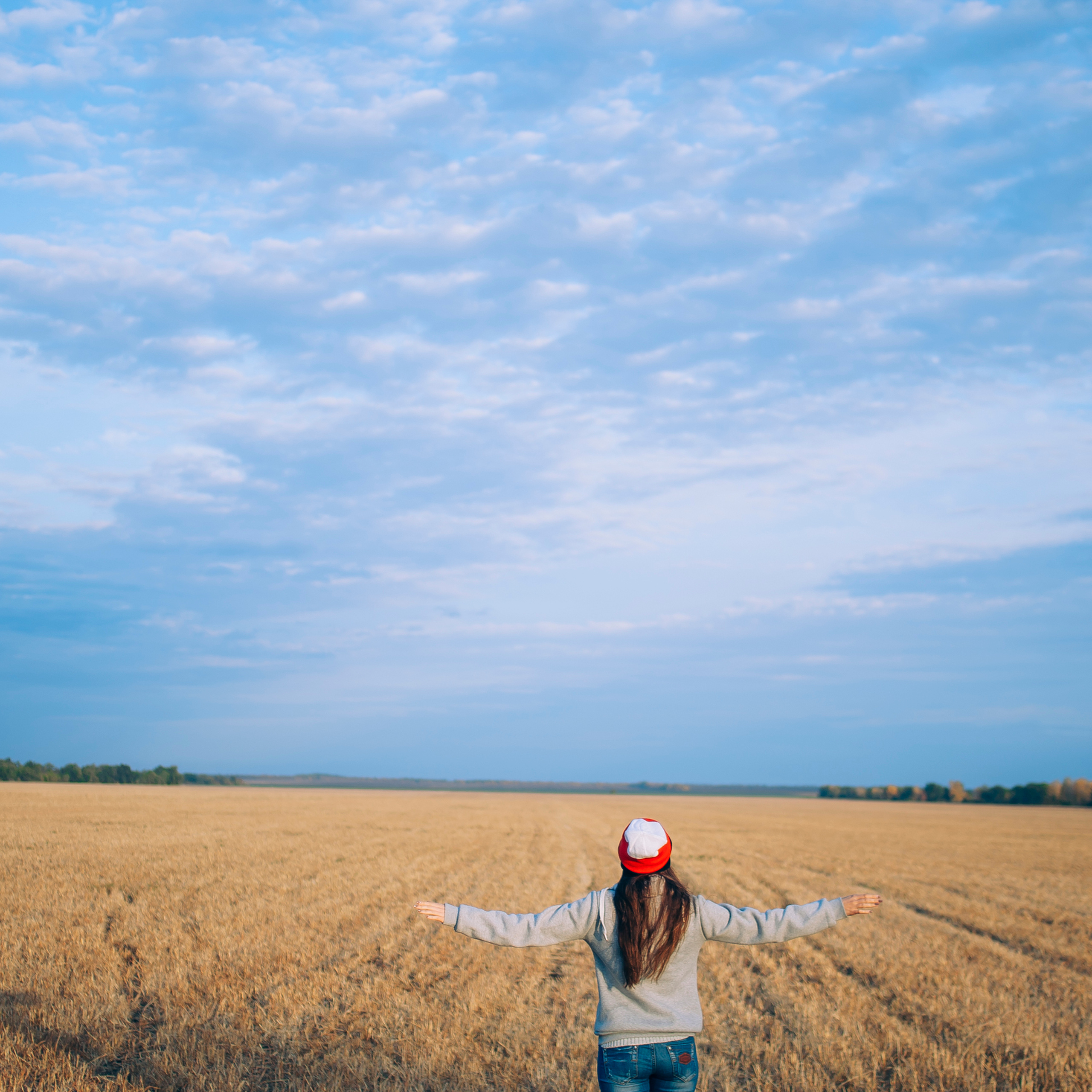 Поле у АЭС Балаково (октябрь 2018)