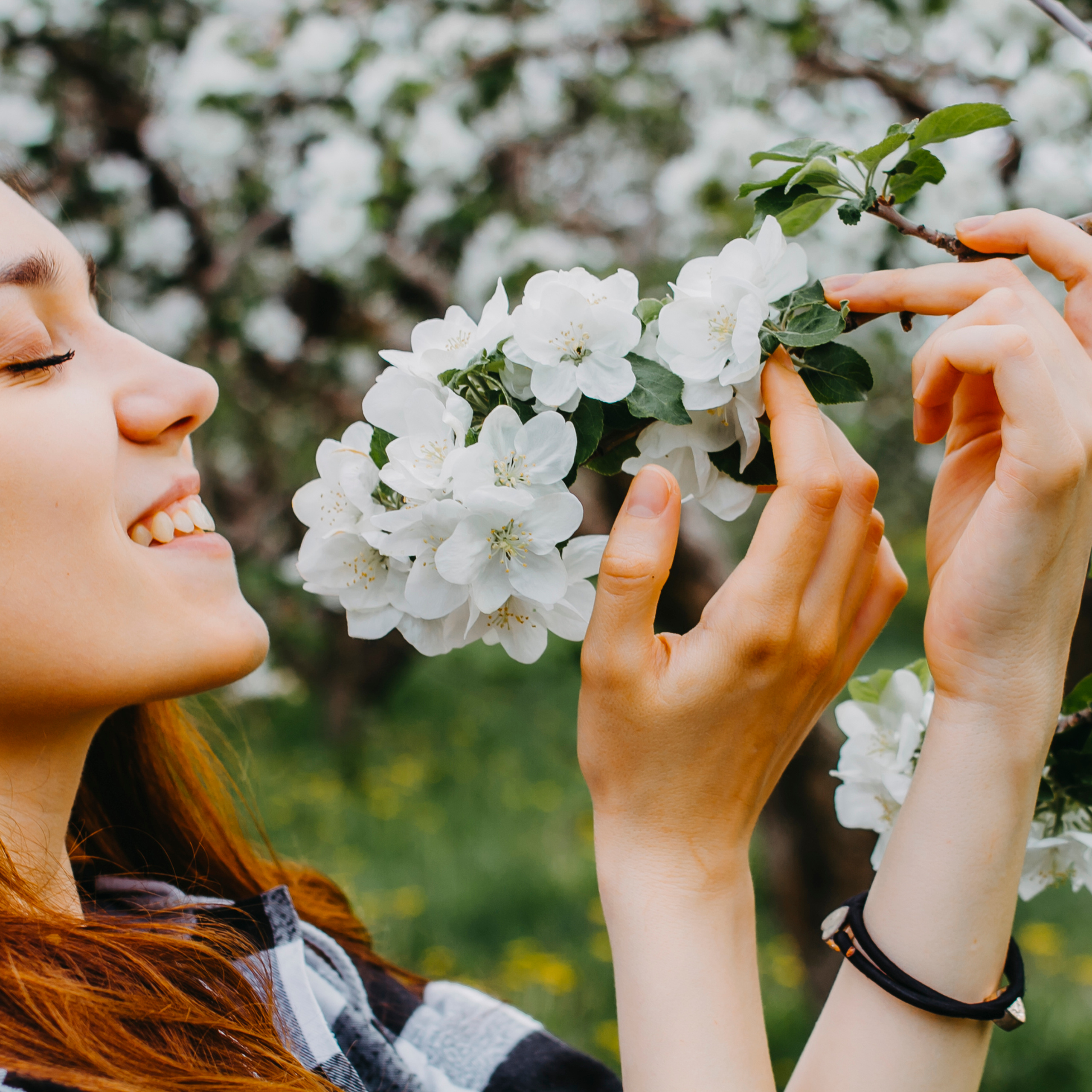 Хвалынские яблоневые сады (май 2019)