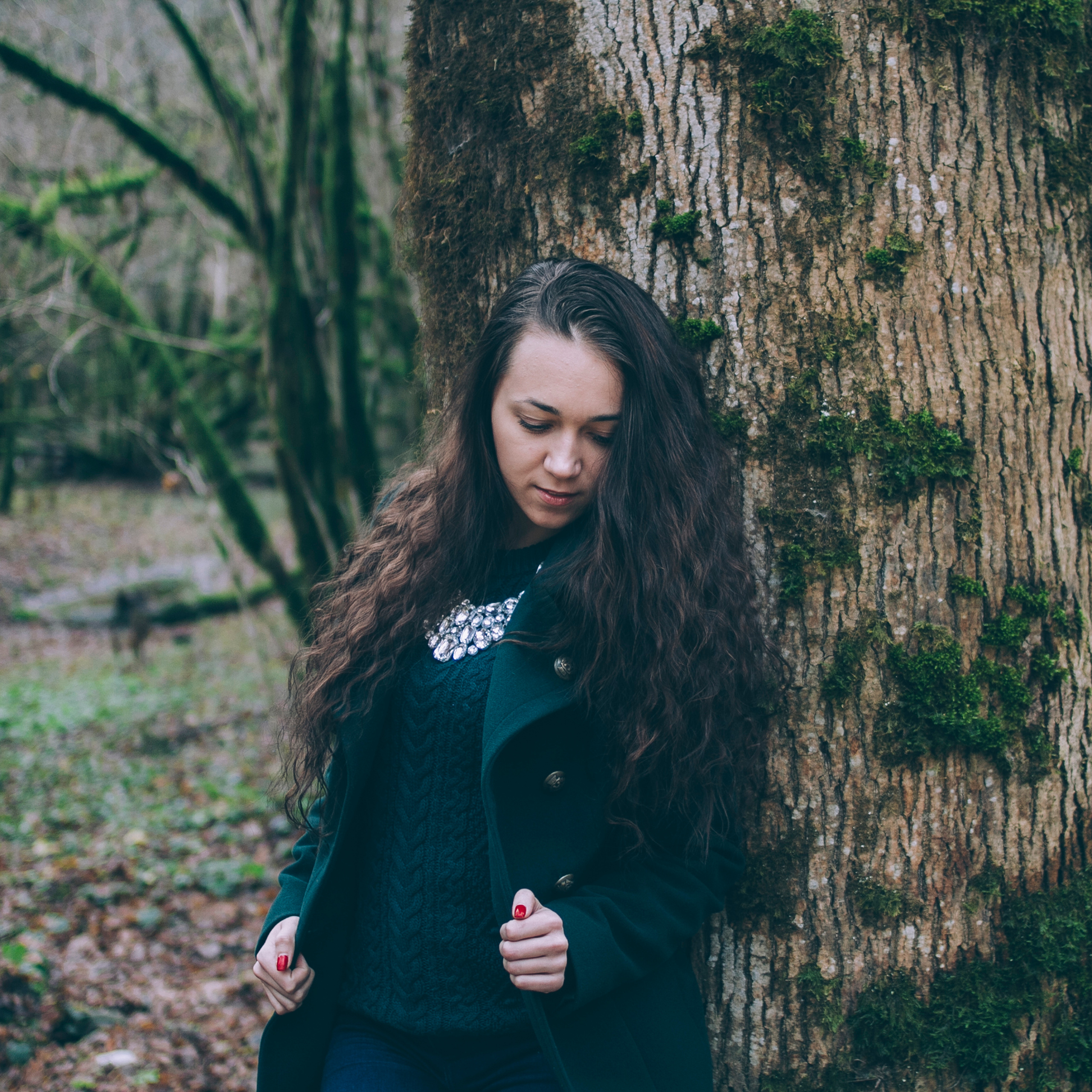 Сочи (декабрь 2017)