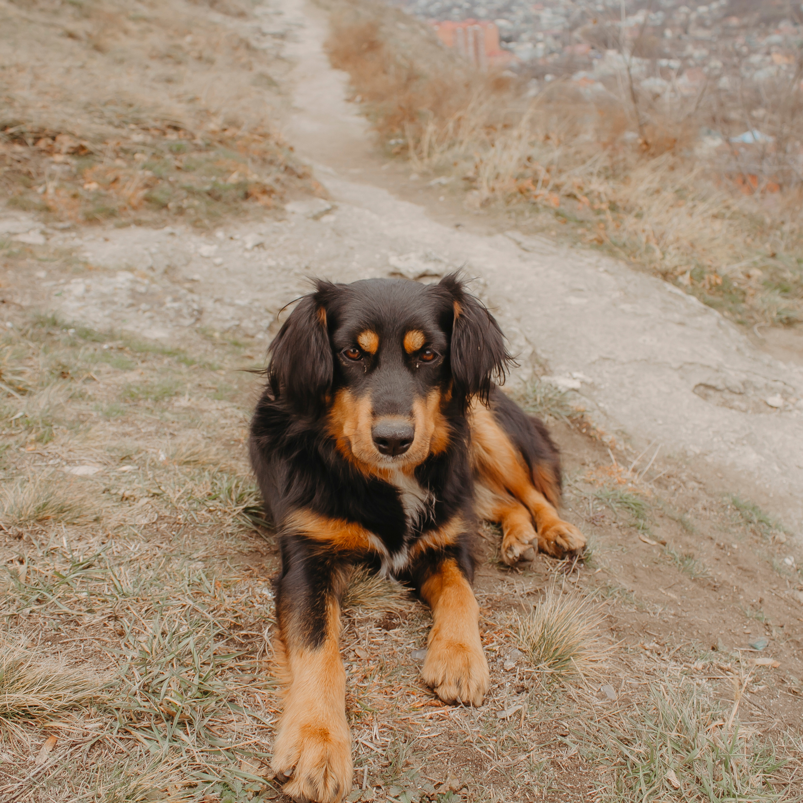 Мин воды (Новый год 2020)