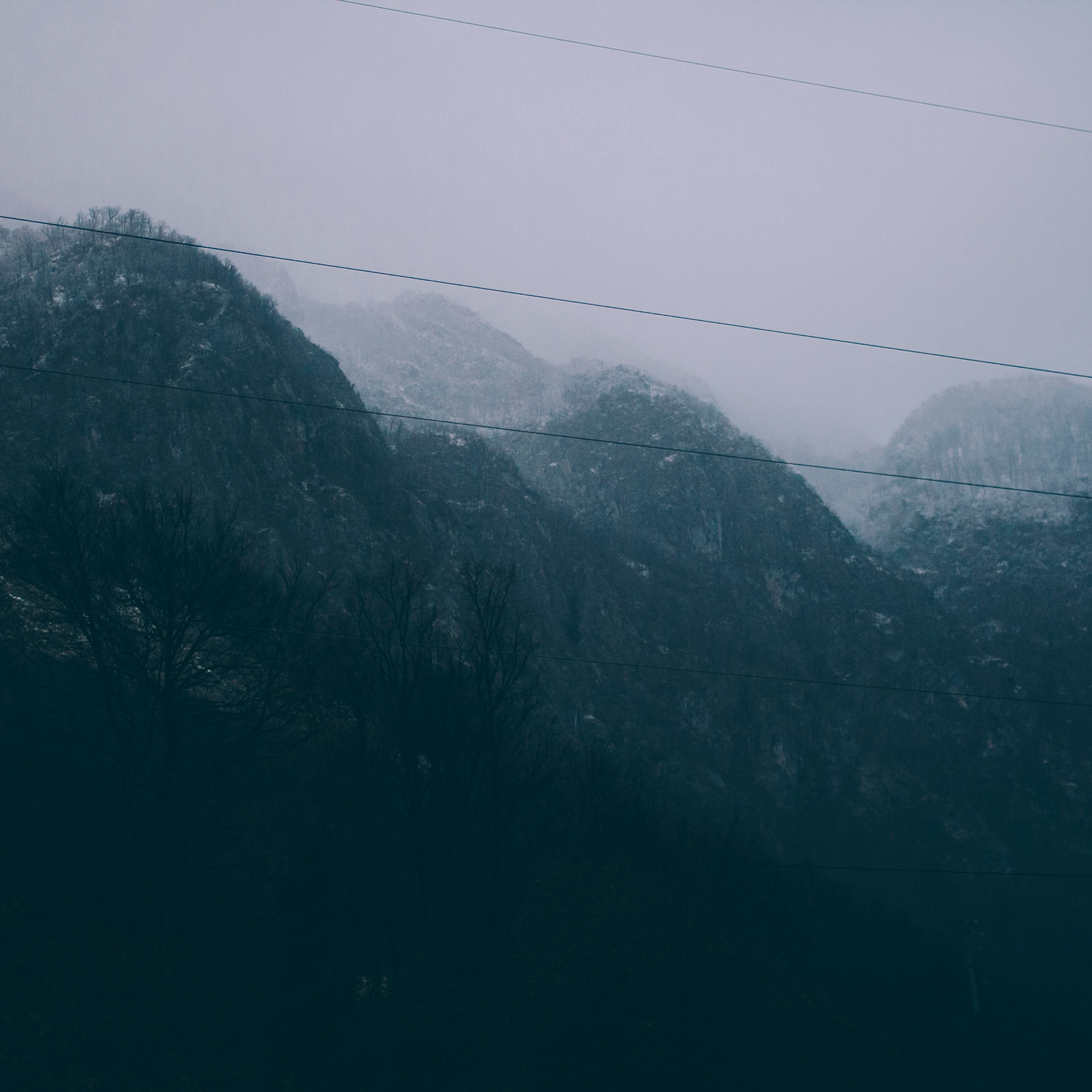 Сочи (декабрь 2017)