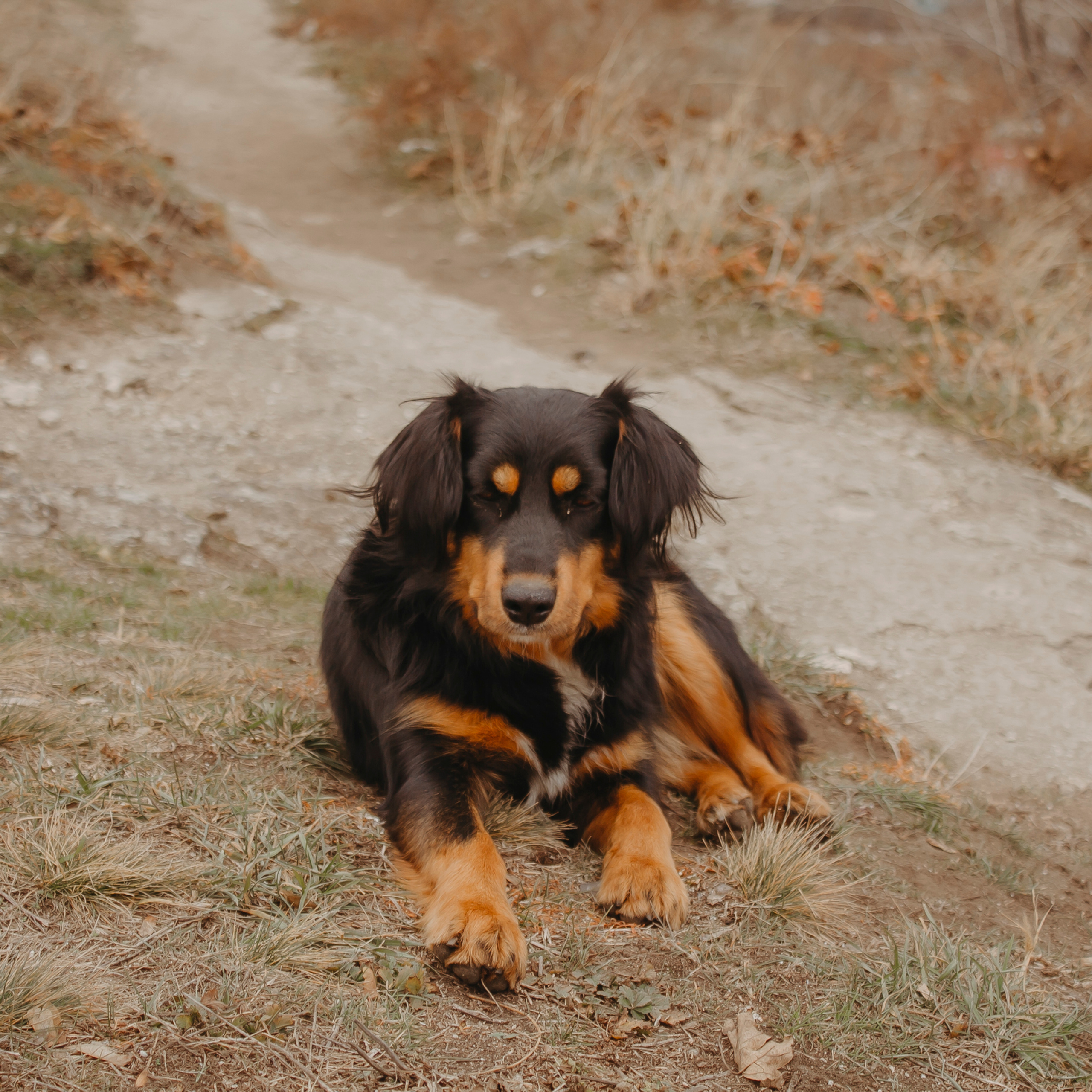 Мин воды (Новый год 2020)