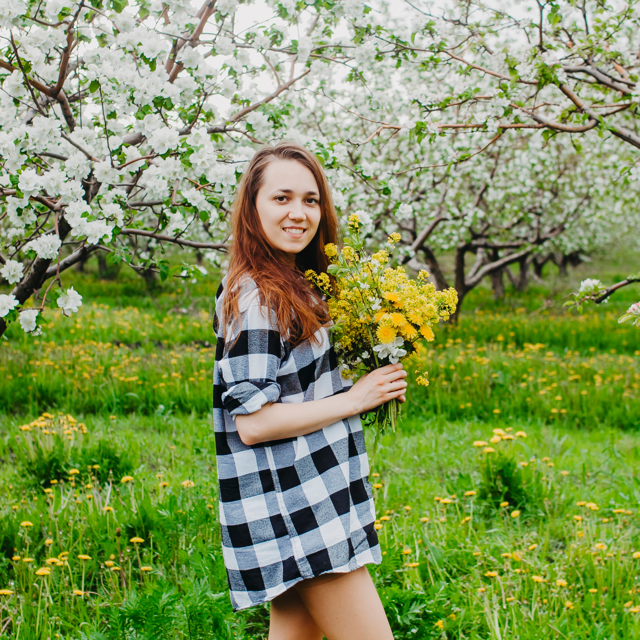 Хвалынские яблоневые сады (май 2019)