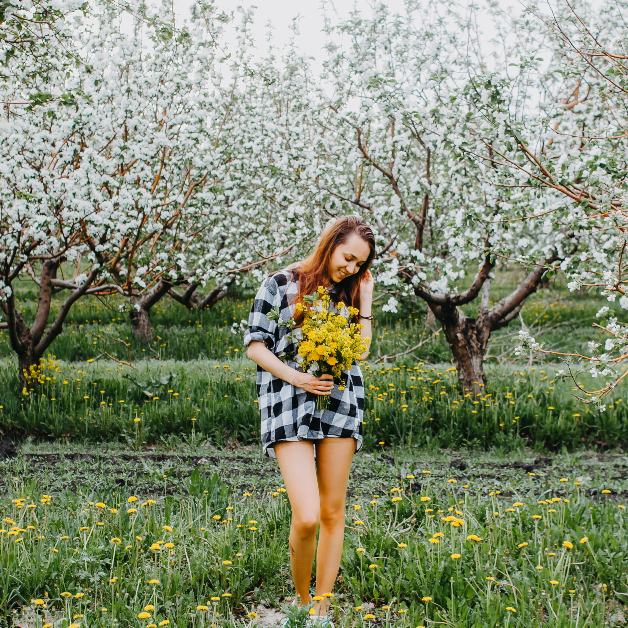 Хвалынские яблоневые сады (май 2019)