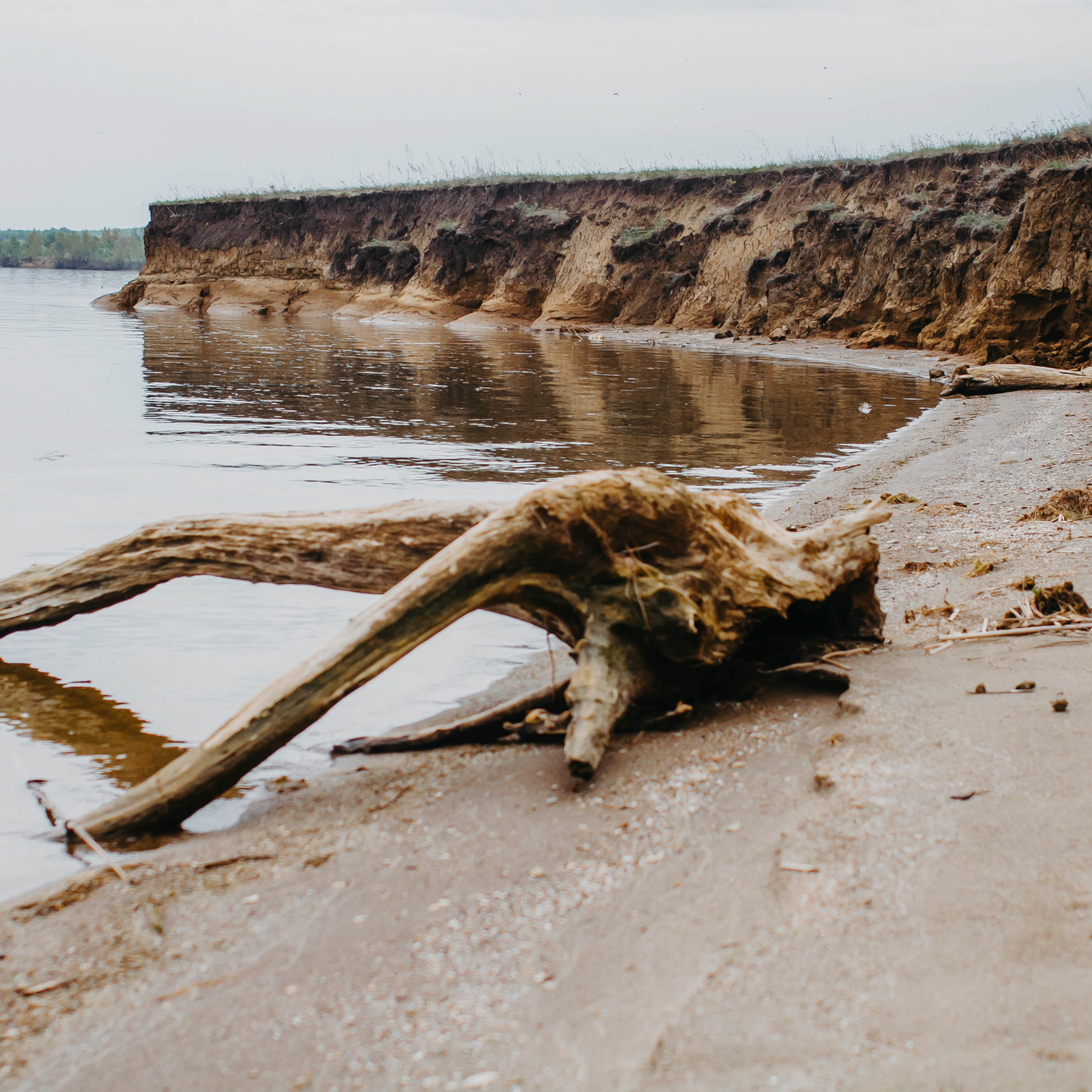 Хвалынские яблоневые сады (май 2019)