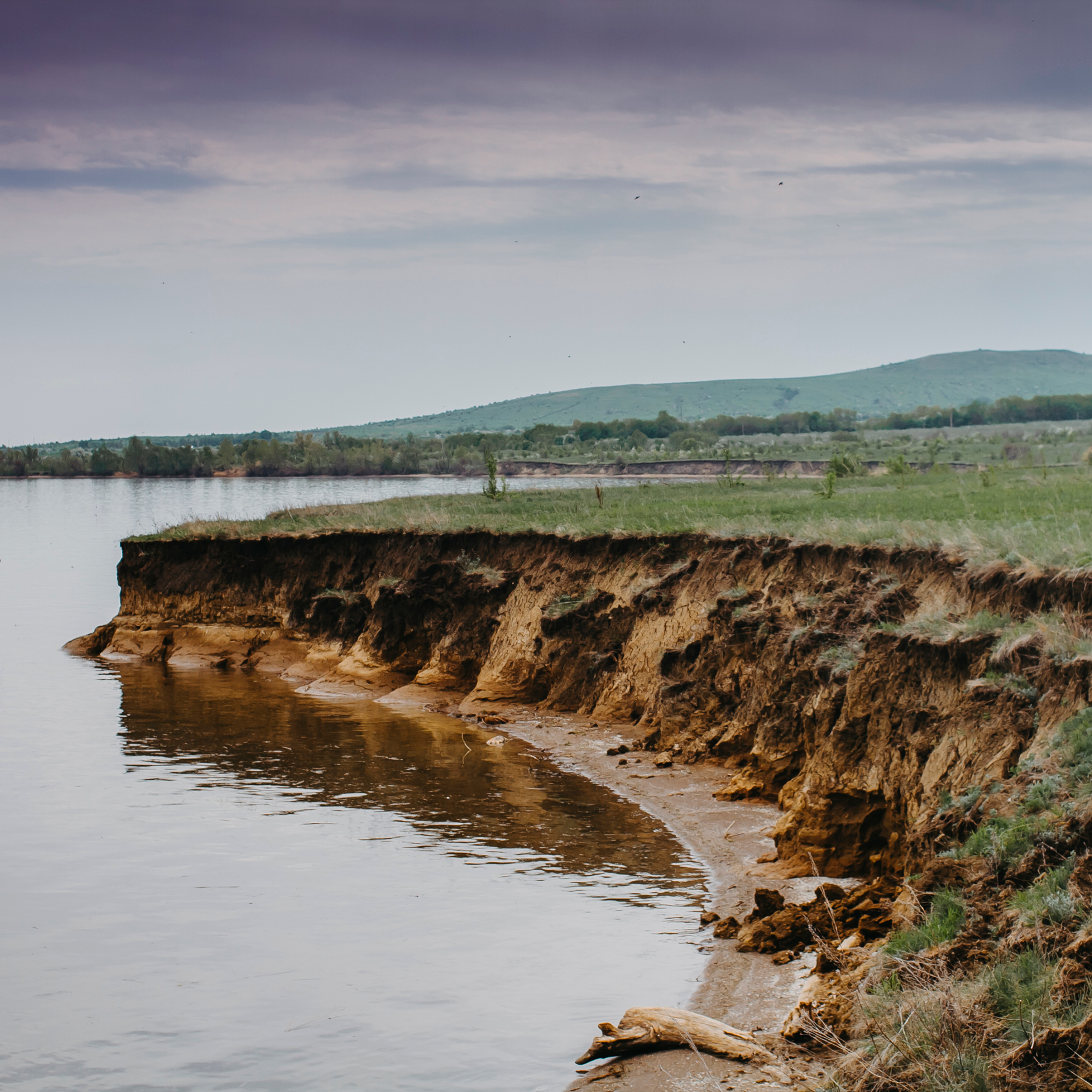 Хвалынские яблоневые сады (май 2019)