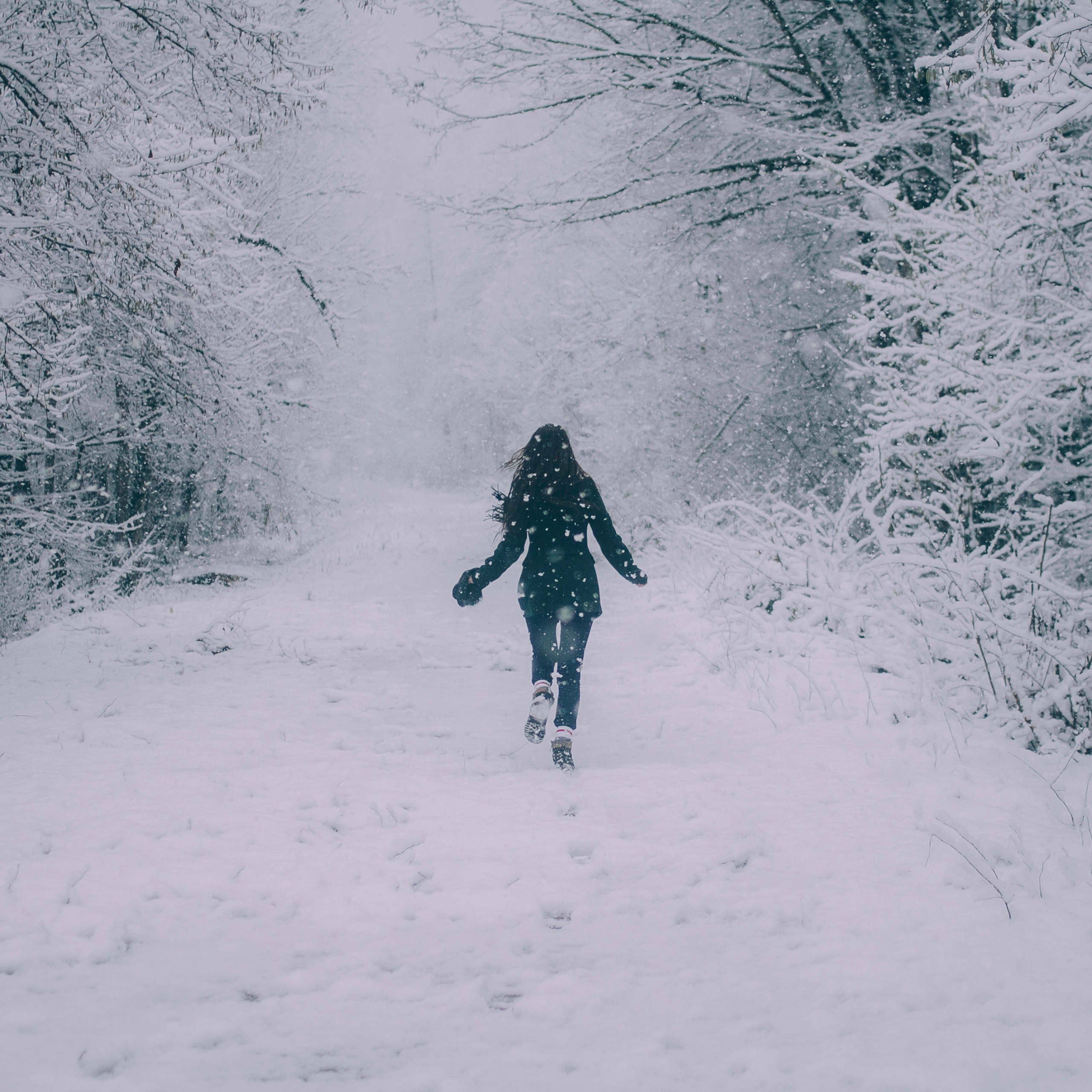 Сочи (декабрь 2017)