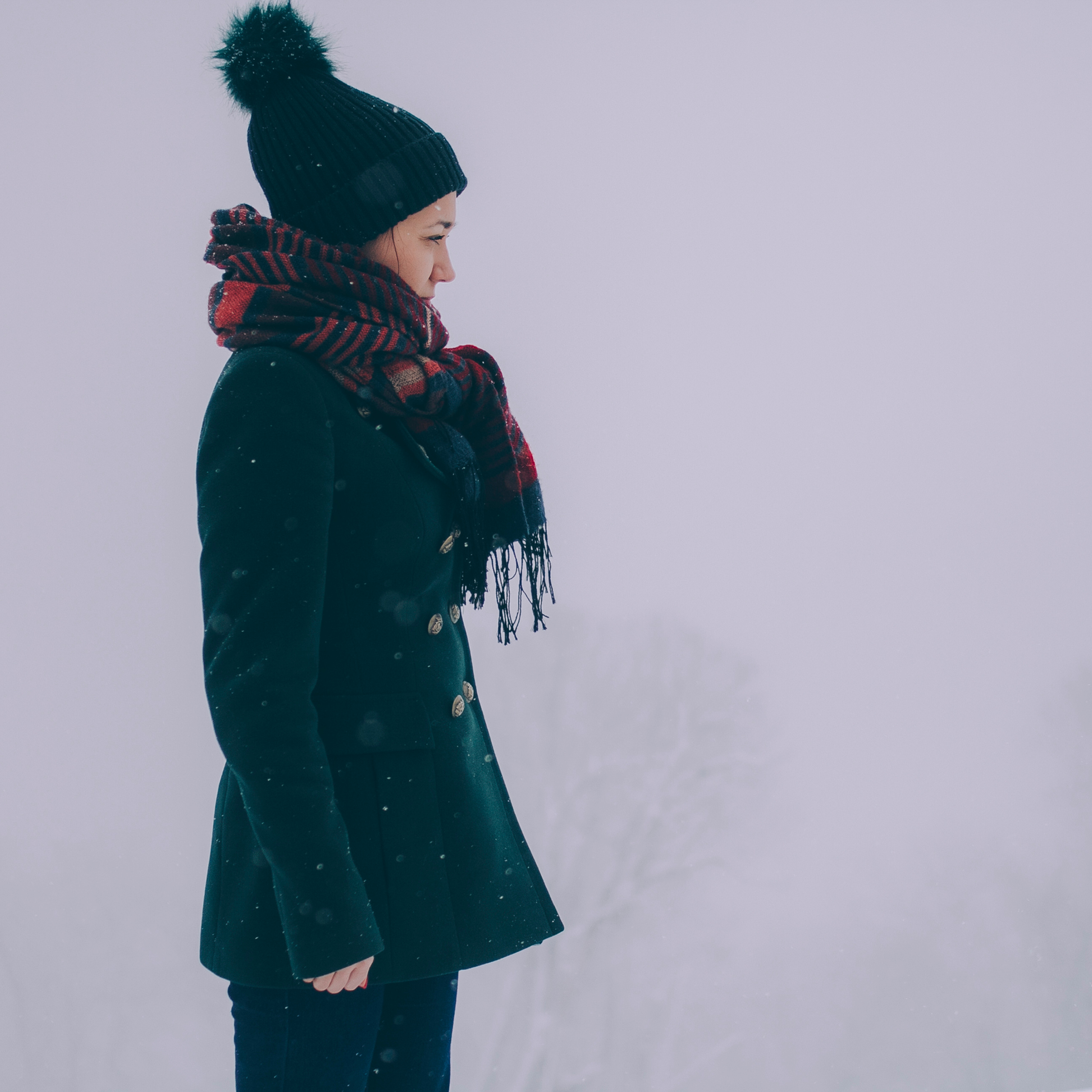 Сочи (декабрь 2017)