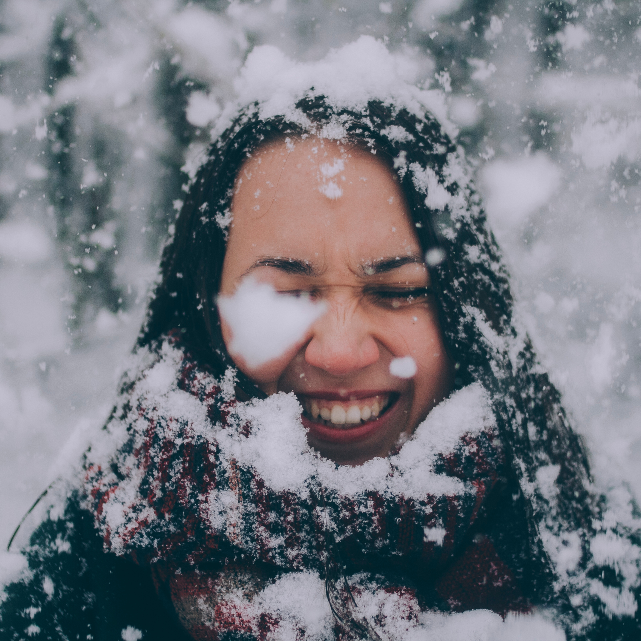 Сочи (декабрь 2017)