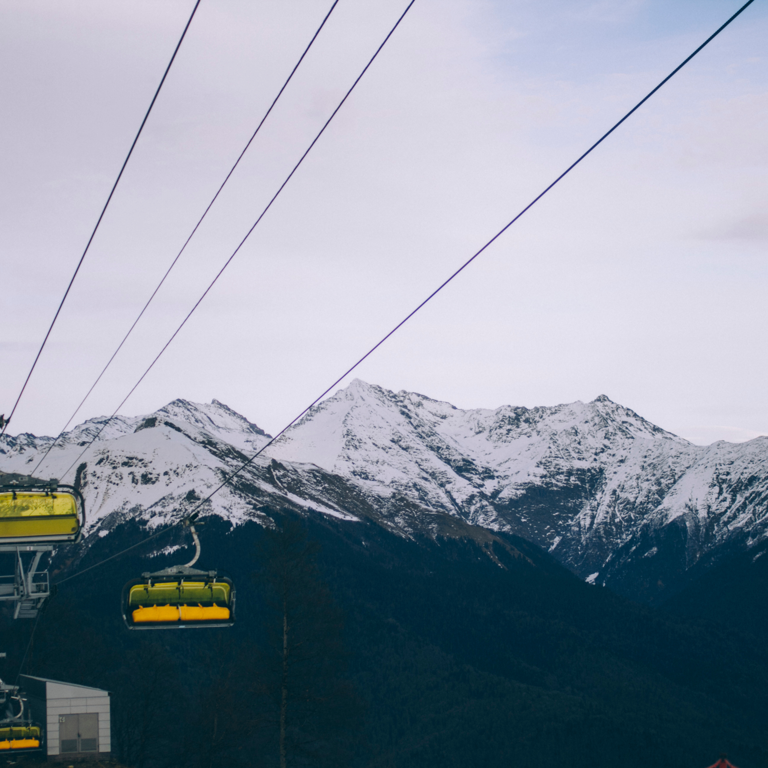 Сочи (декабрь 2017)