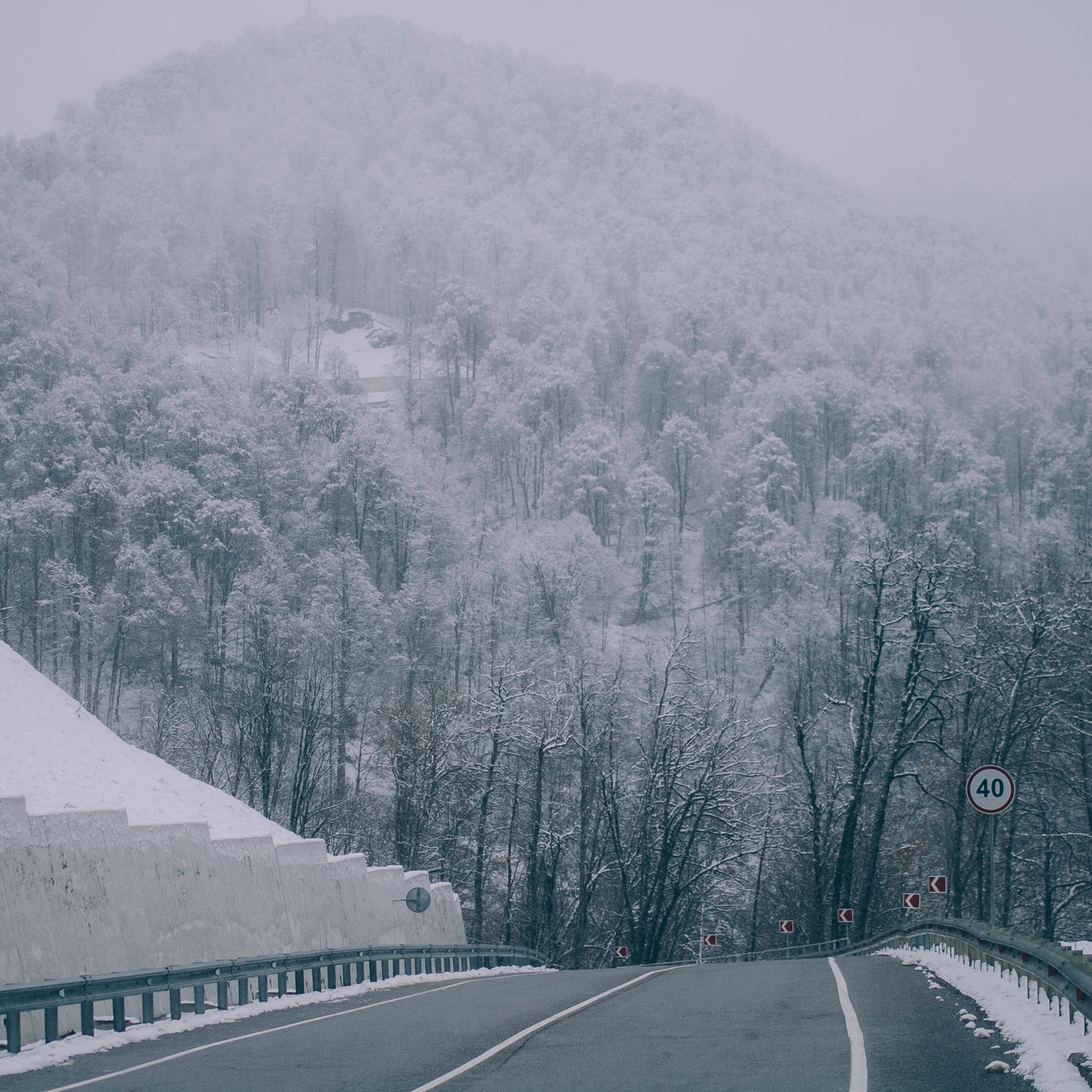Сочи (декабрь 2017)