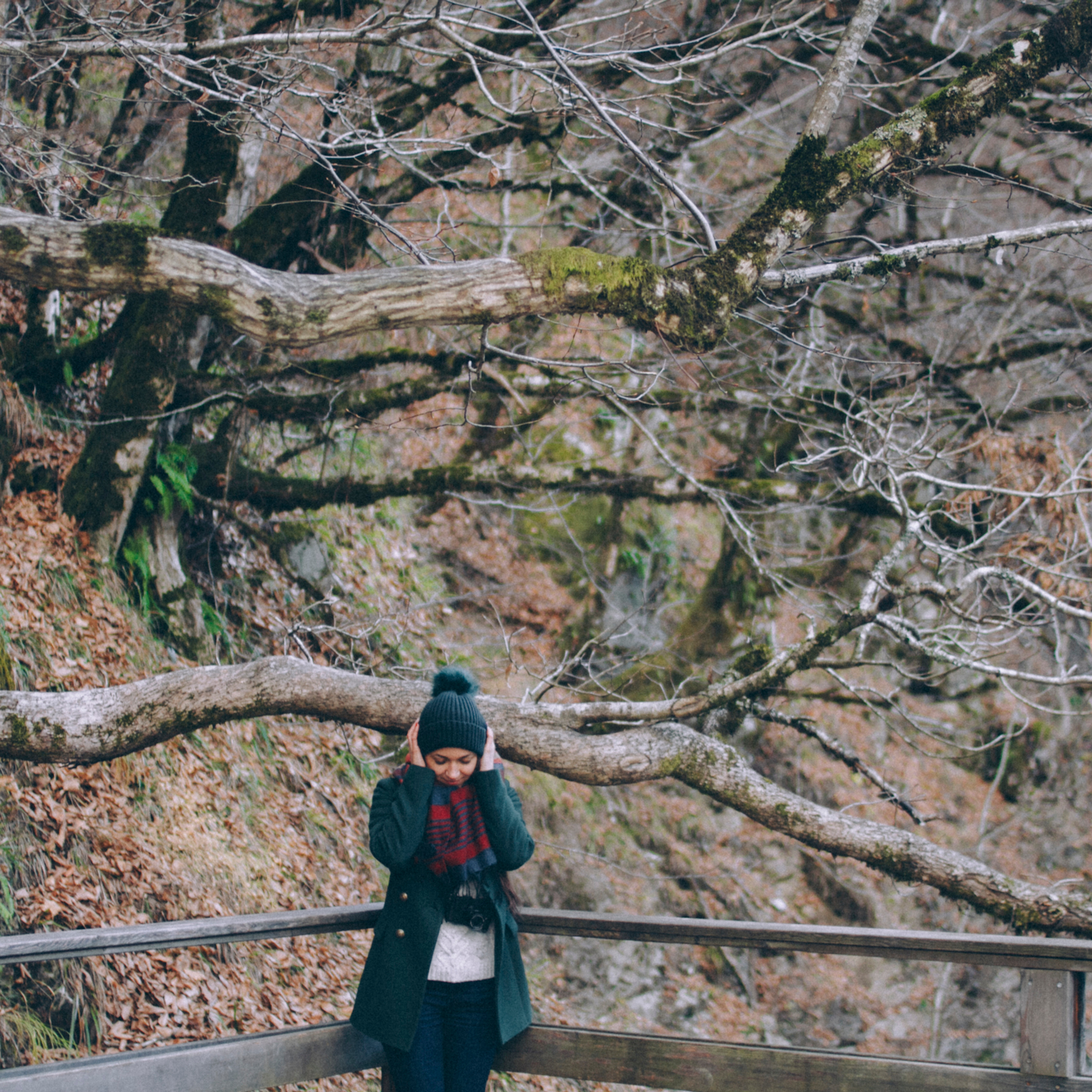 Сочи (декабрь 2017)