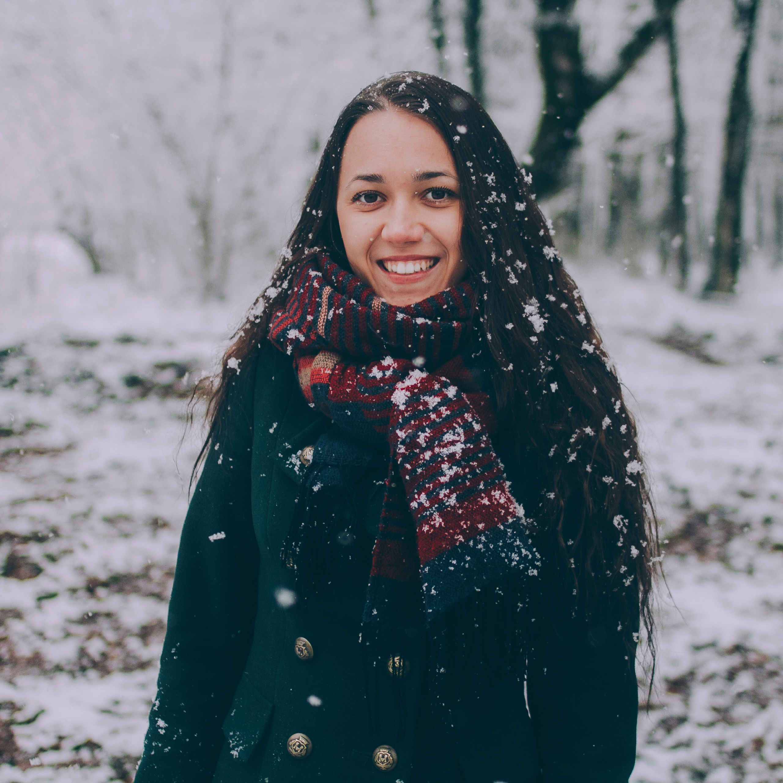 Сочи (декабрь 2017)