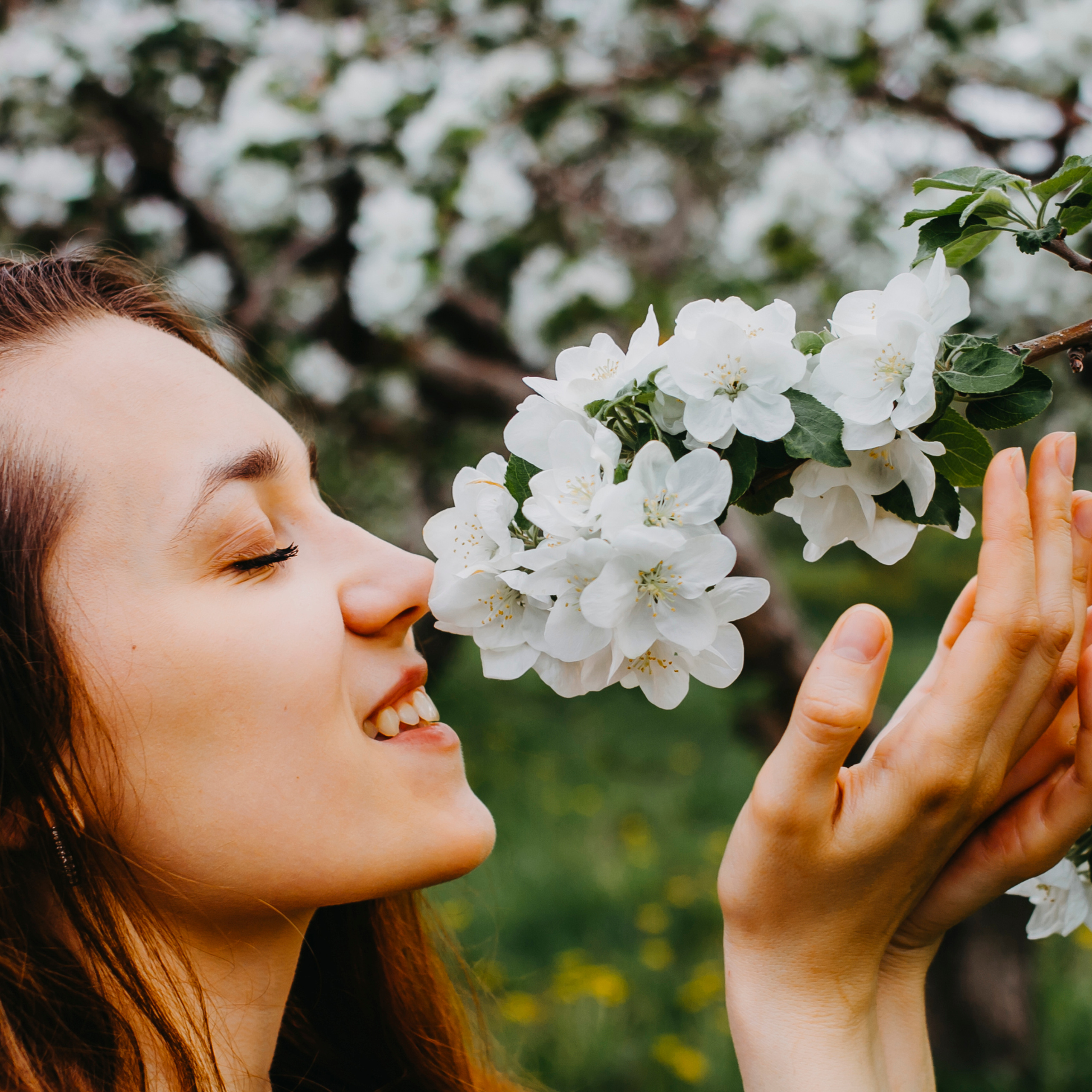 Хвалынские яблоневые сады (май 2019)