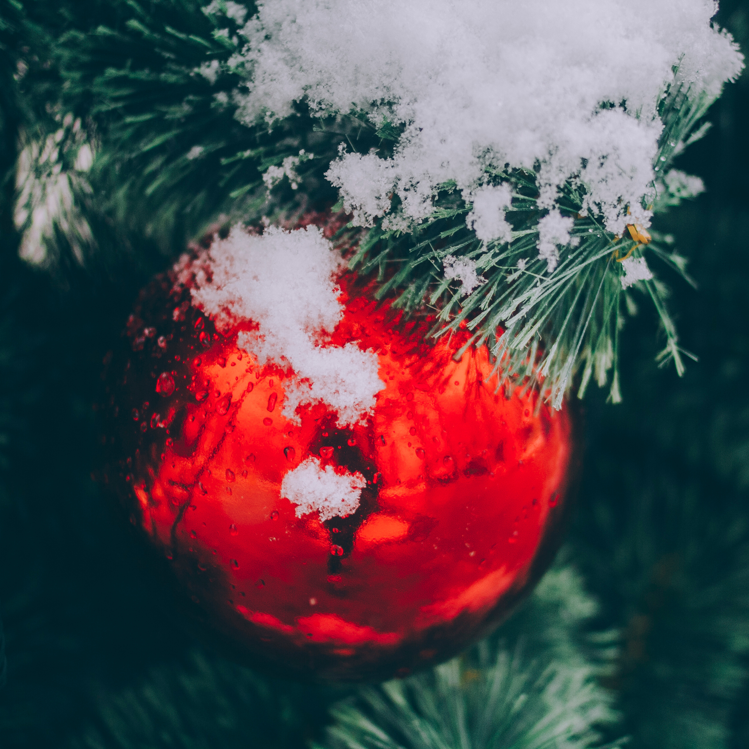 Сочи (декабрь 2017)