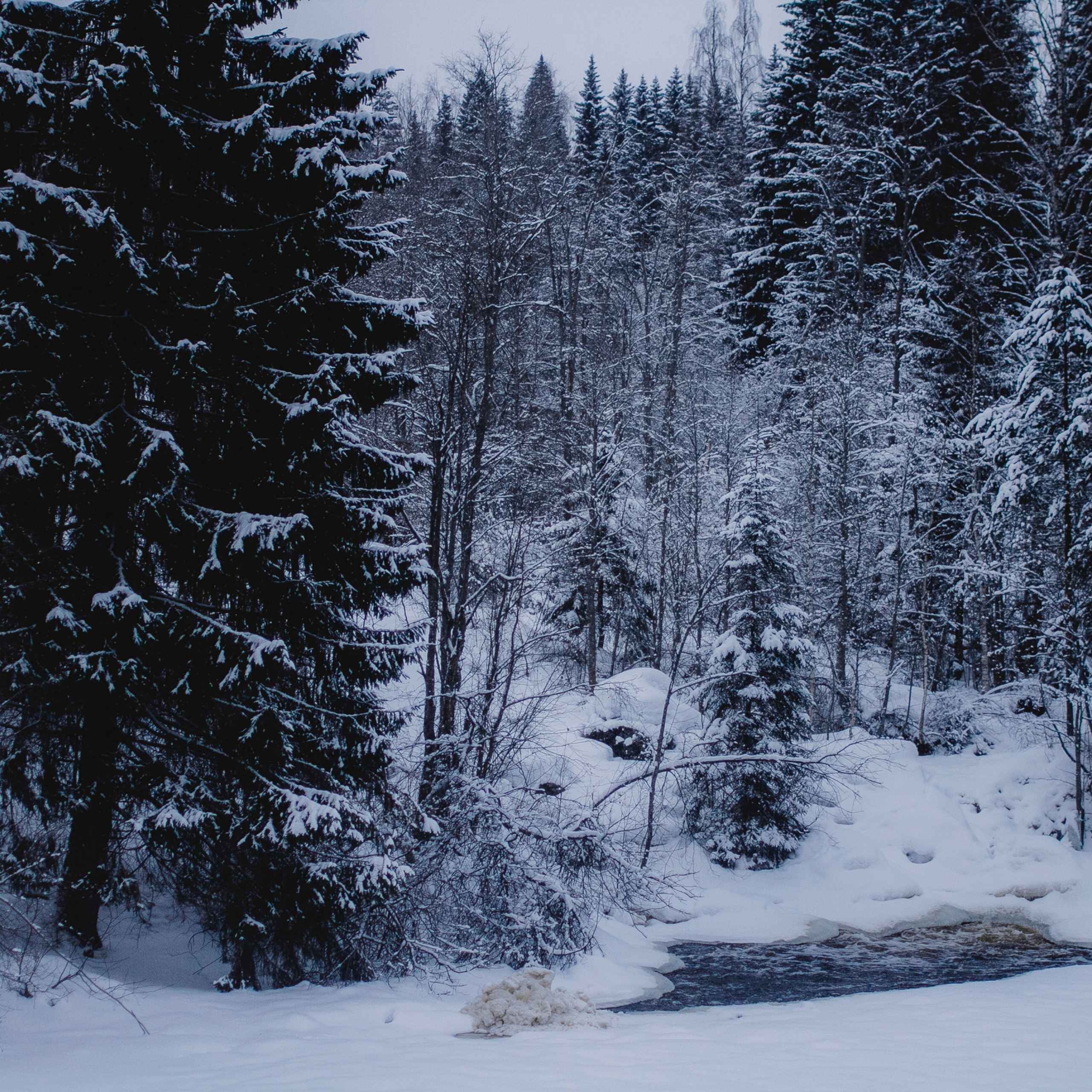 Рускеала Карелия (февраль 2018)