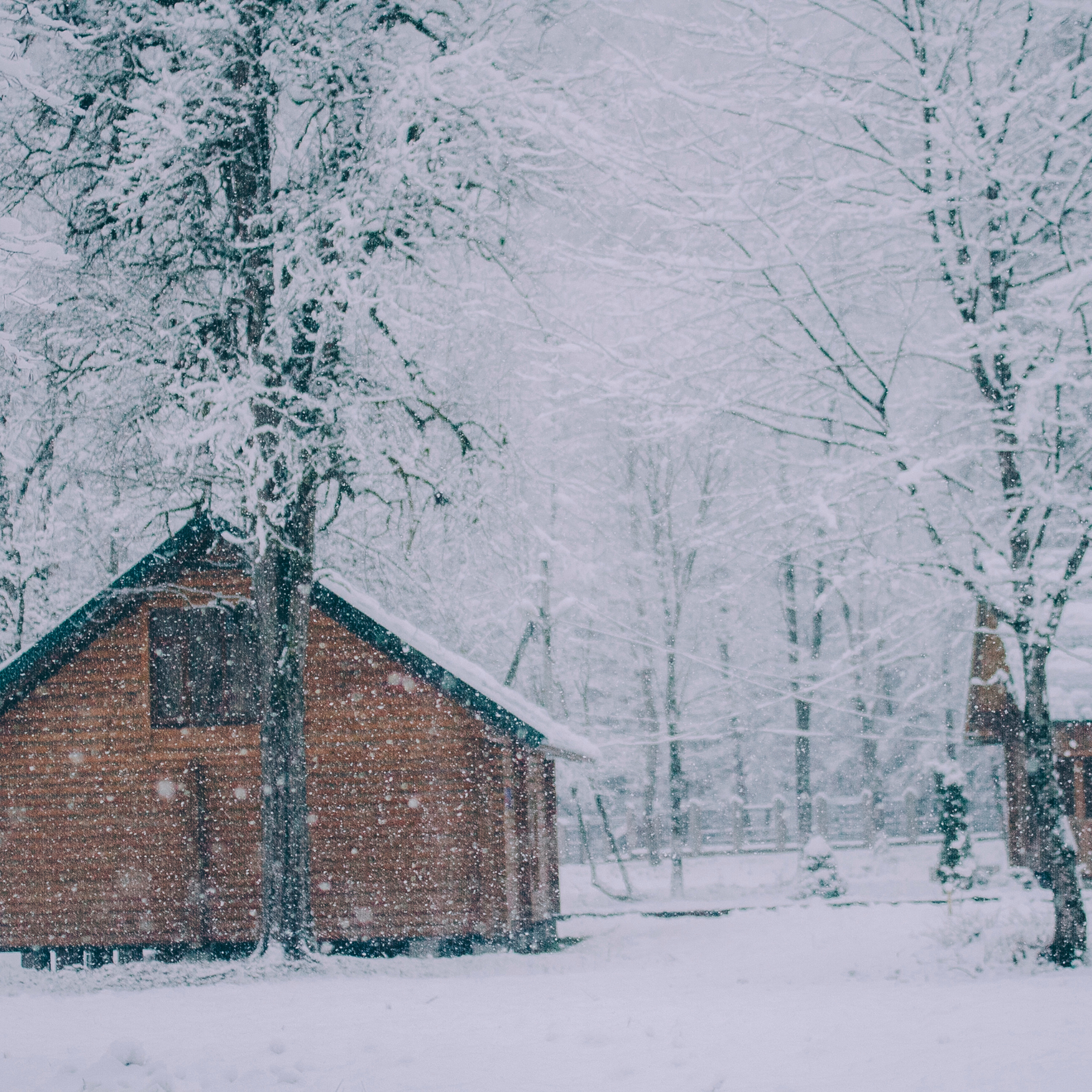 Сочи (декабрь 2017)