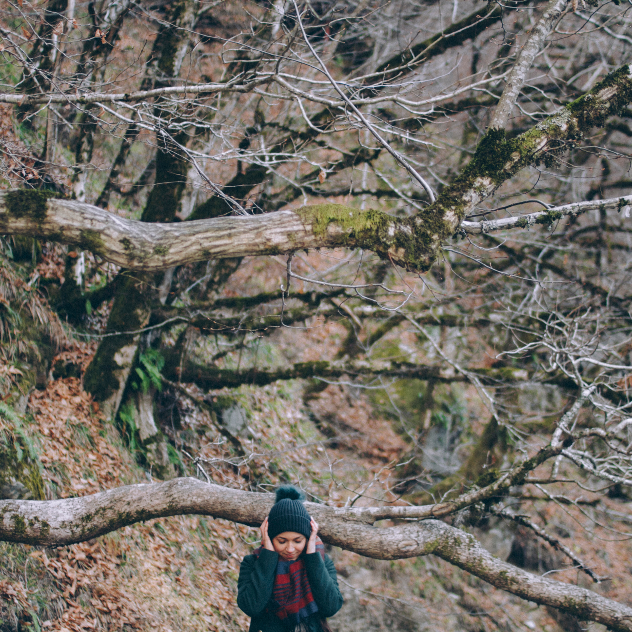 Сочи (декабрь 2017)