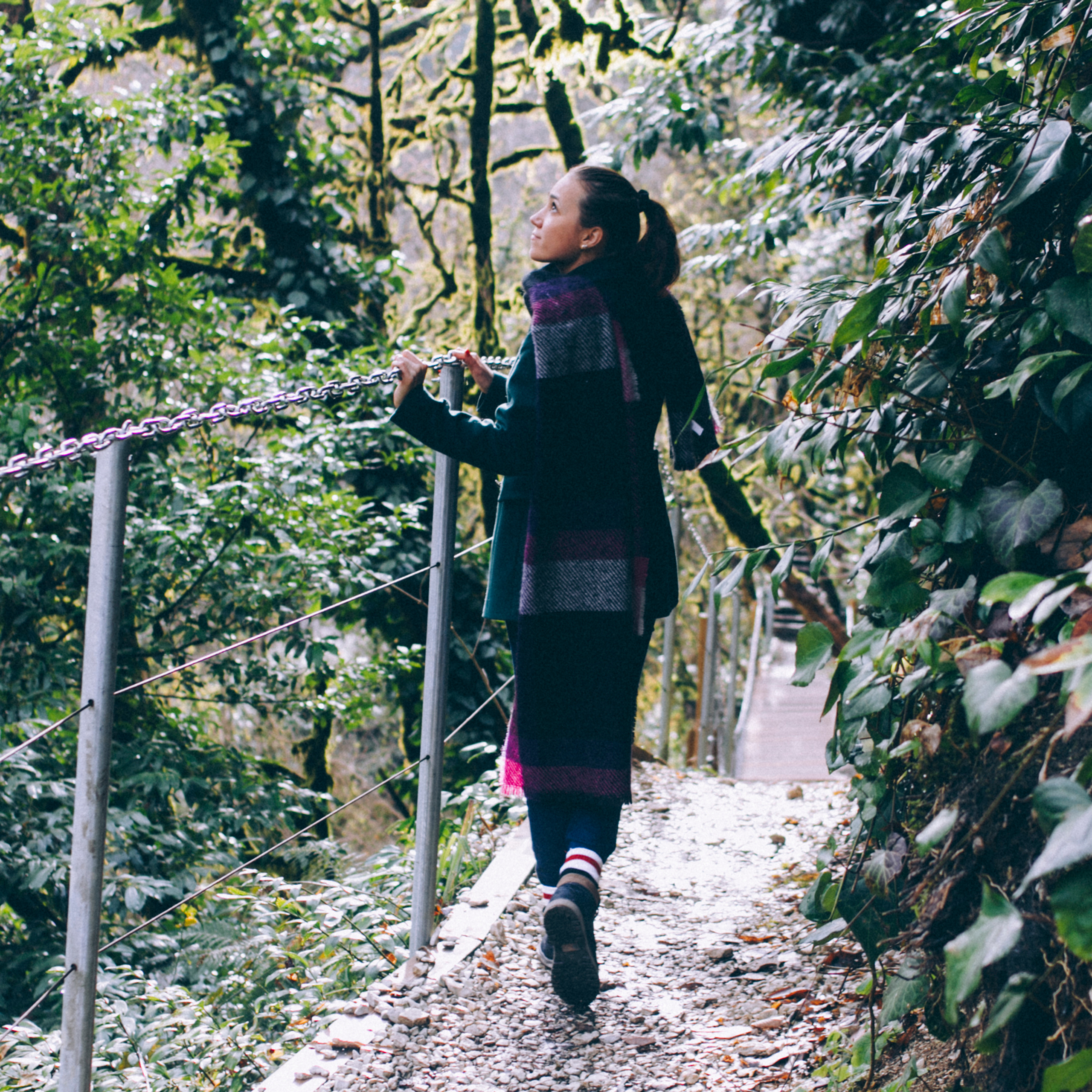 Сочи (декабрь 2017)