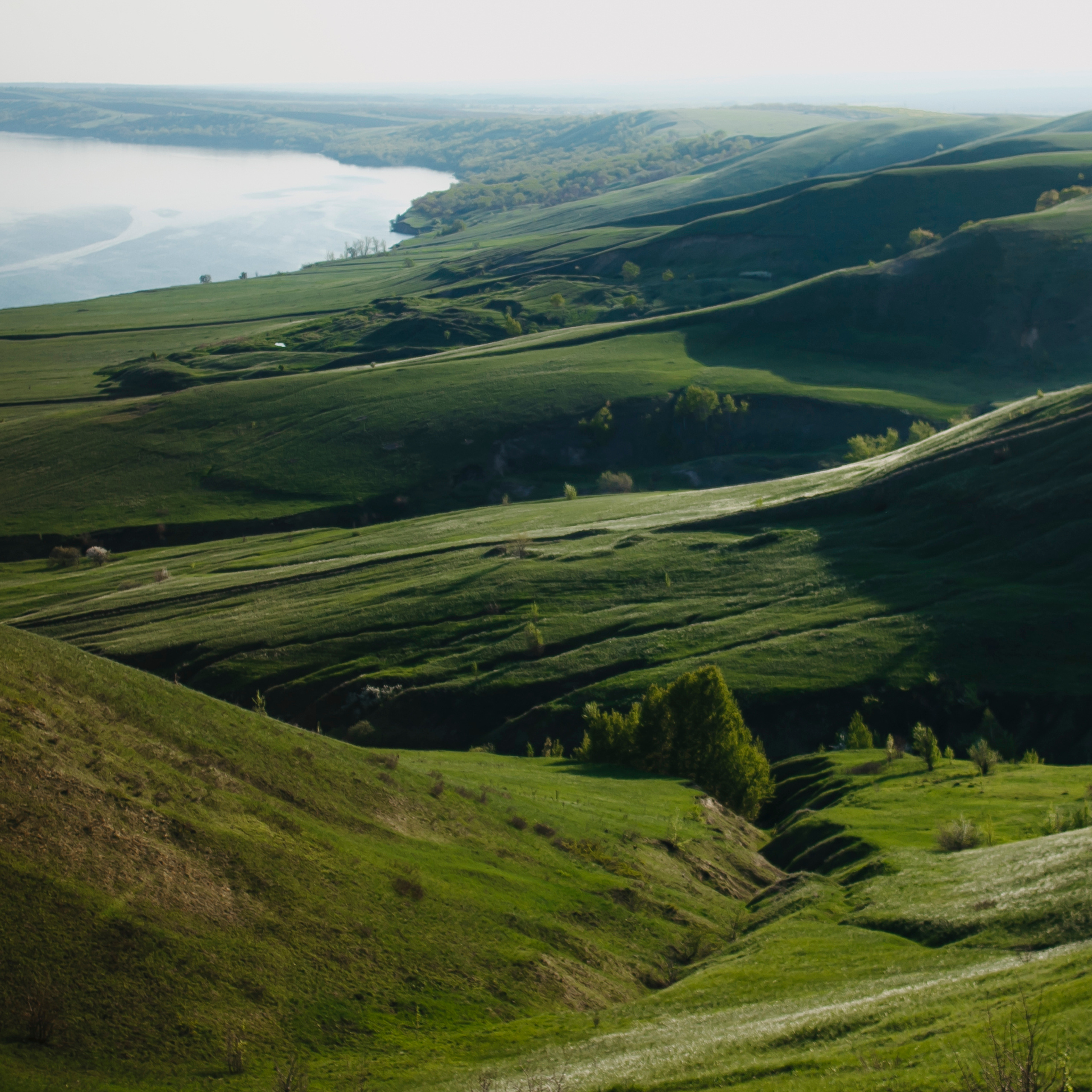 Гора Меровка (июль 2019)