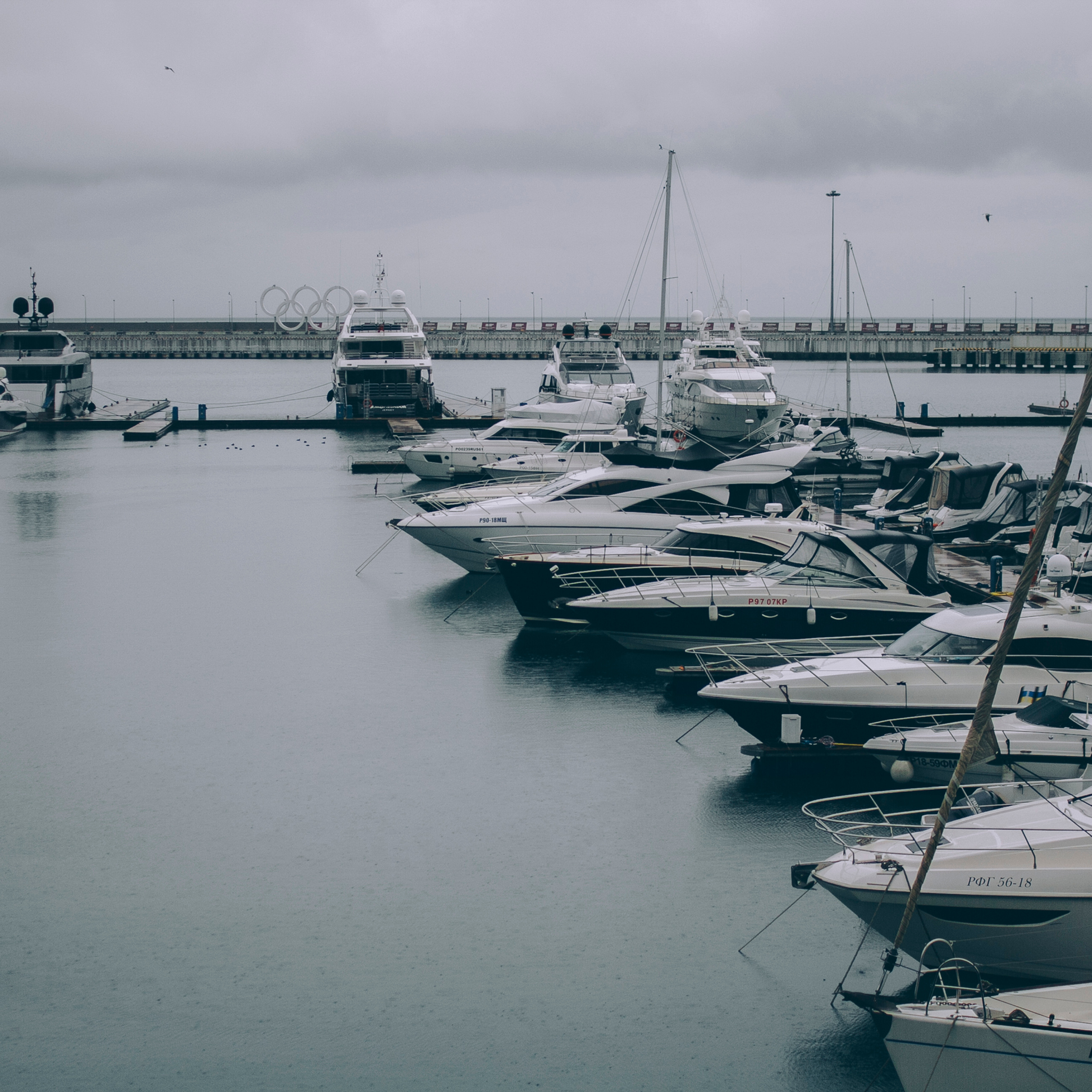 Сочи (декабрь 2017)