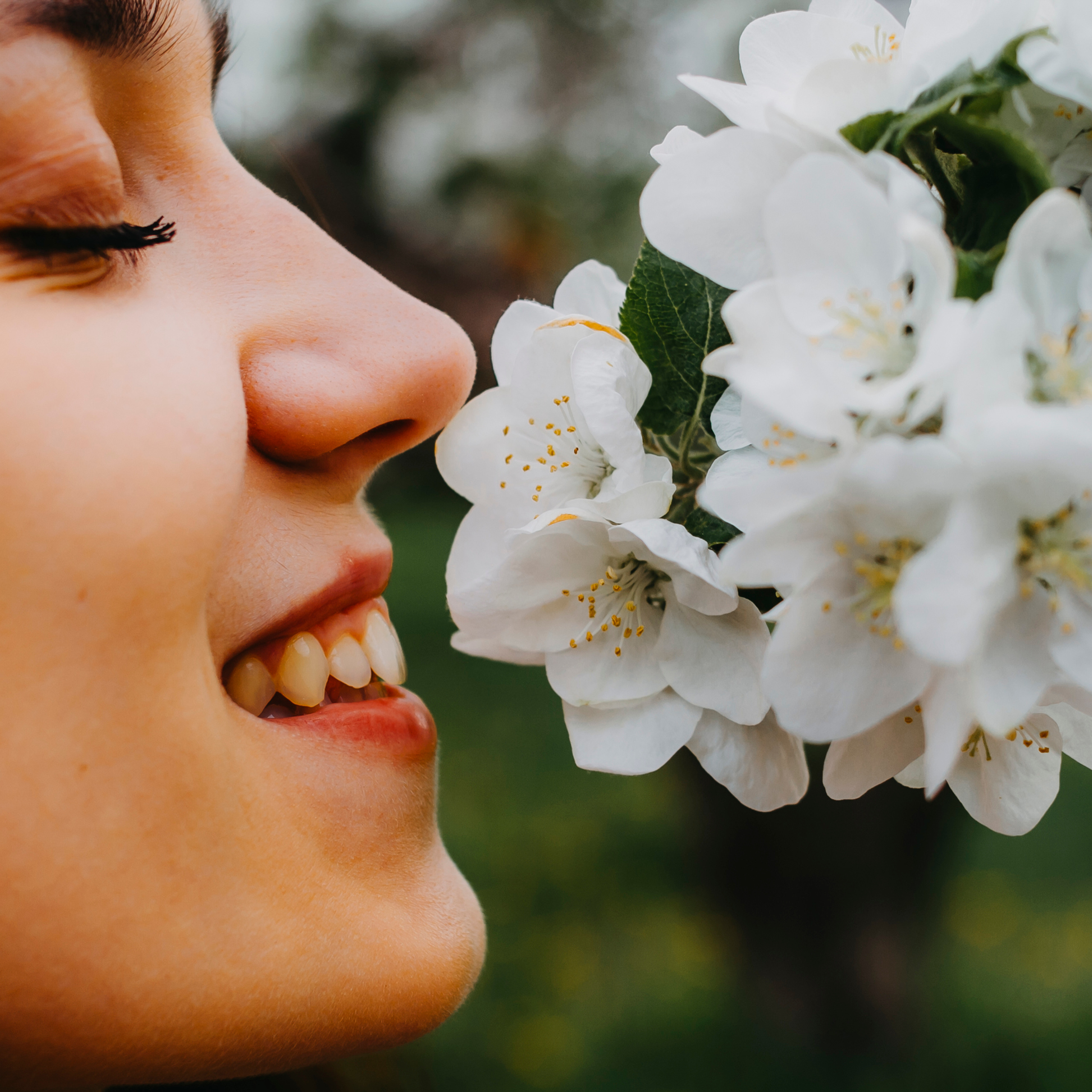 Хвалынские яблоневые сады (май 2019)