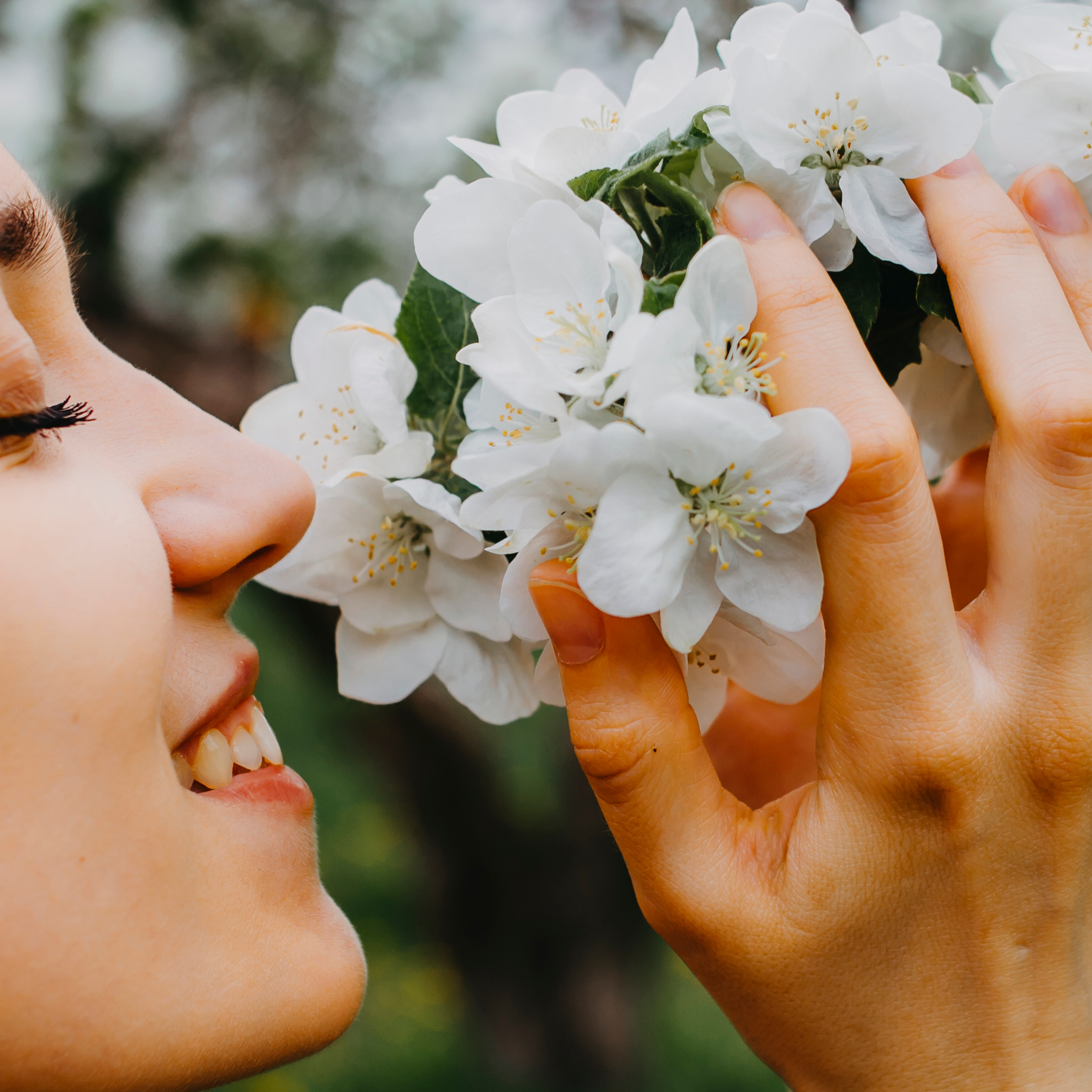 Хвалынские яблоневые сады (май 2019)