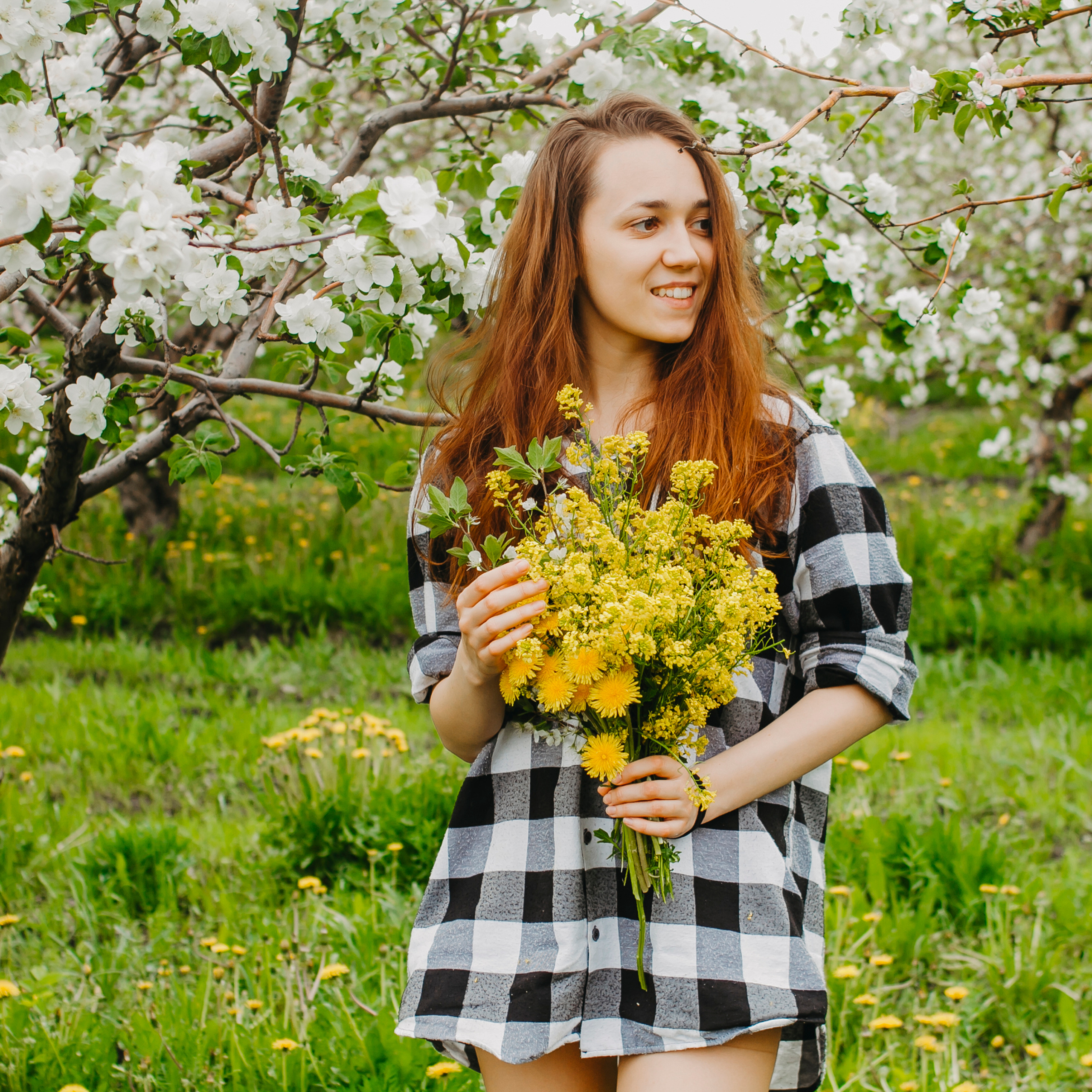 Хвалынские яблоневые сады (май 2019)