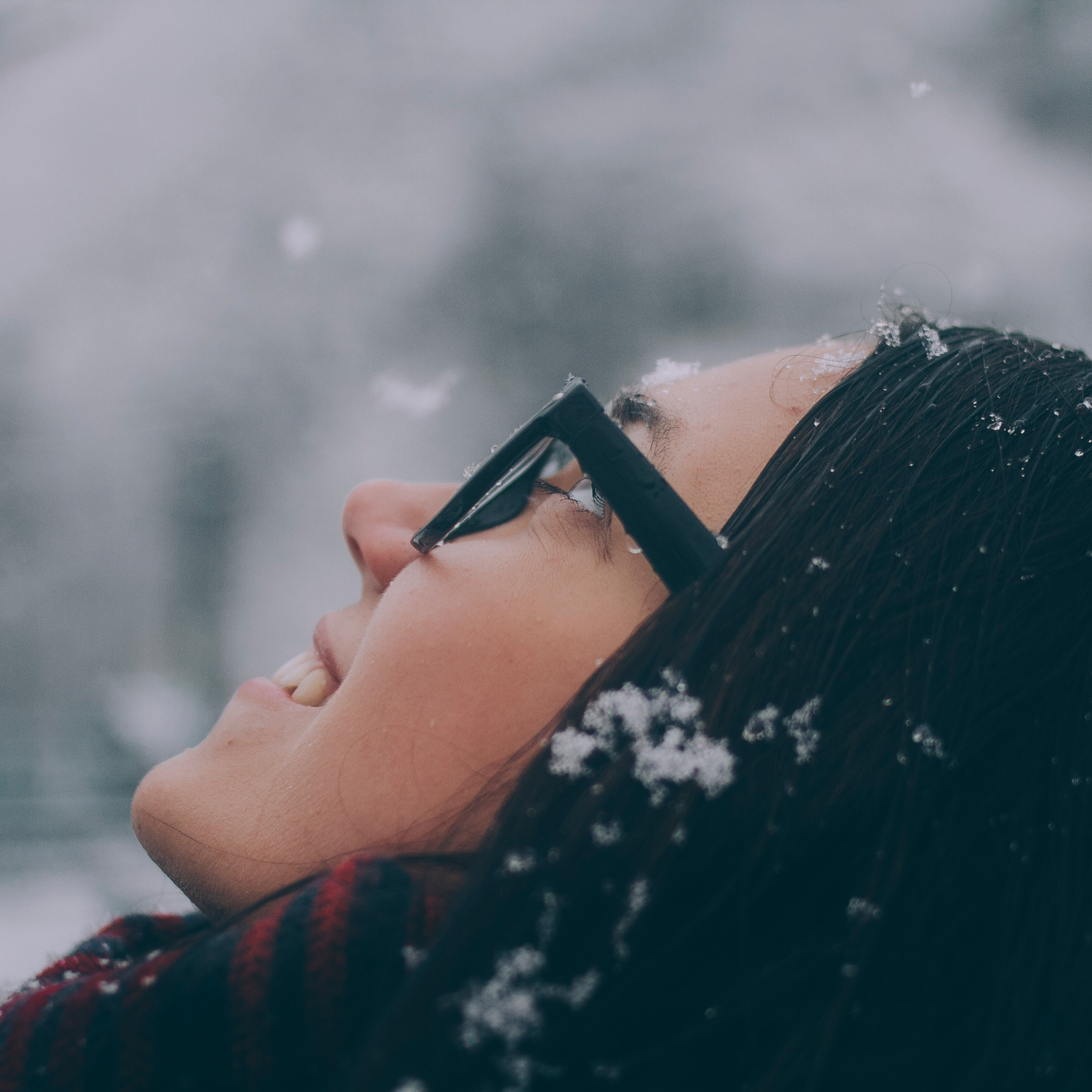 Сочи (декабрь 2017)