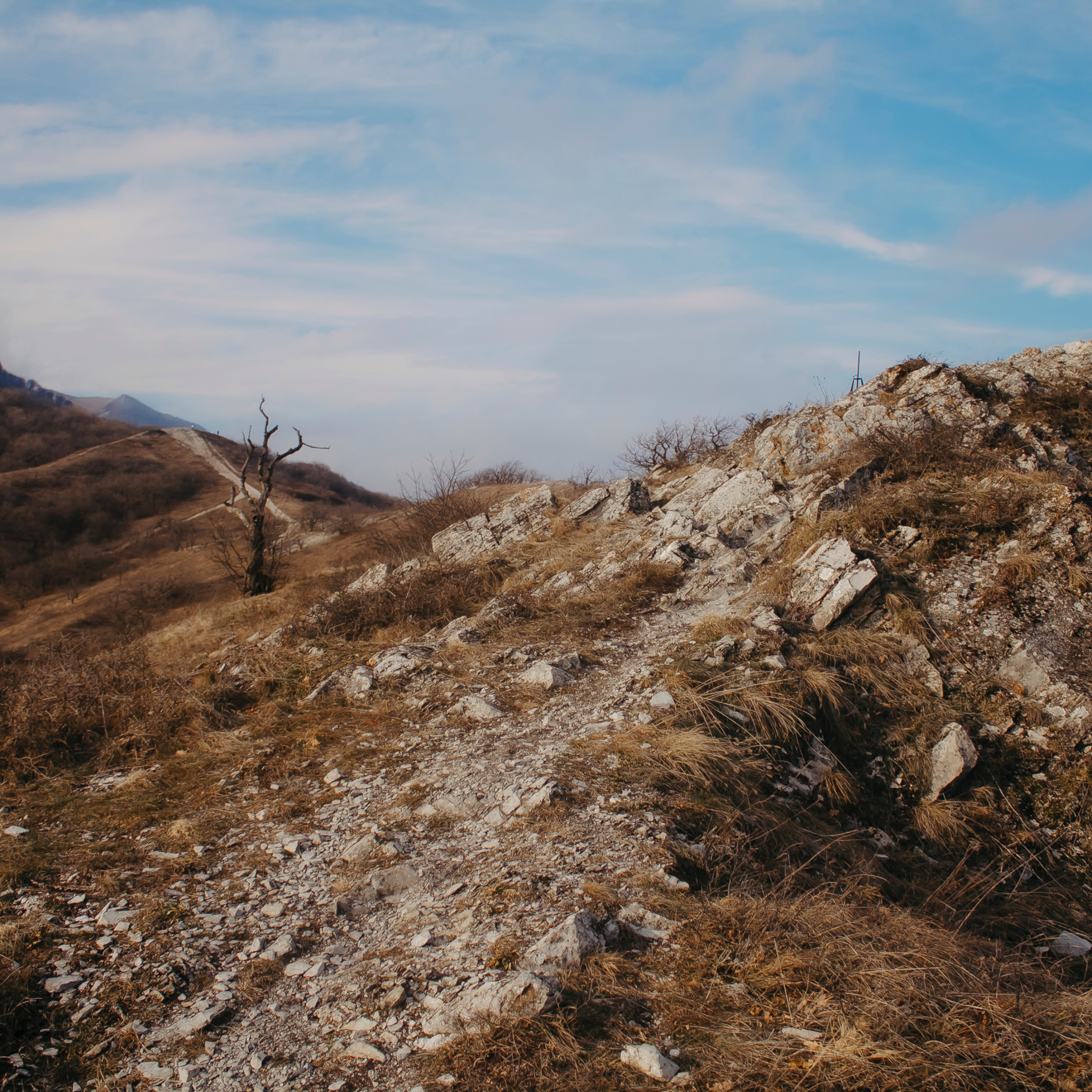 Мин воды (Новый год 2020)