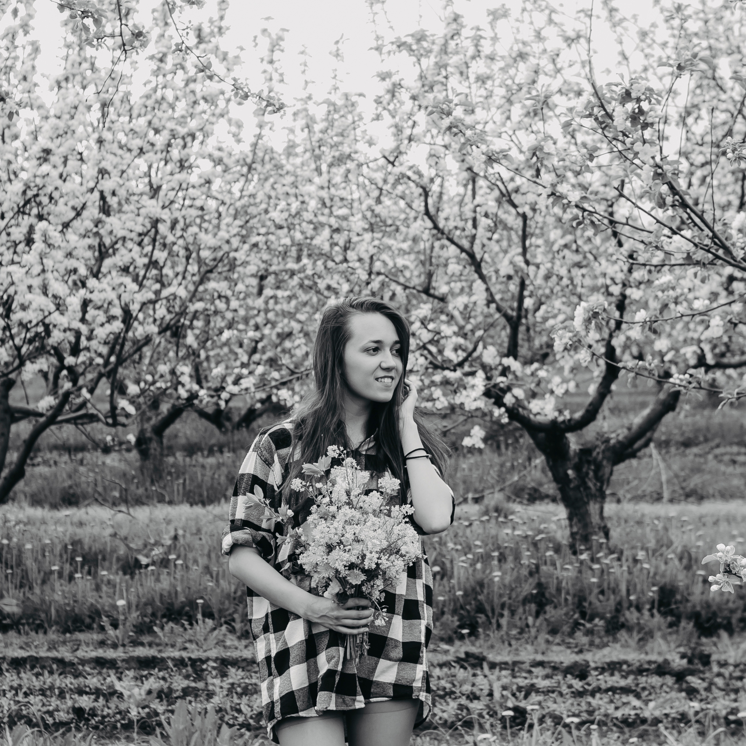 Хвалынские яблоневые сады (май 2019)