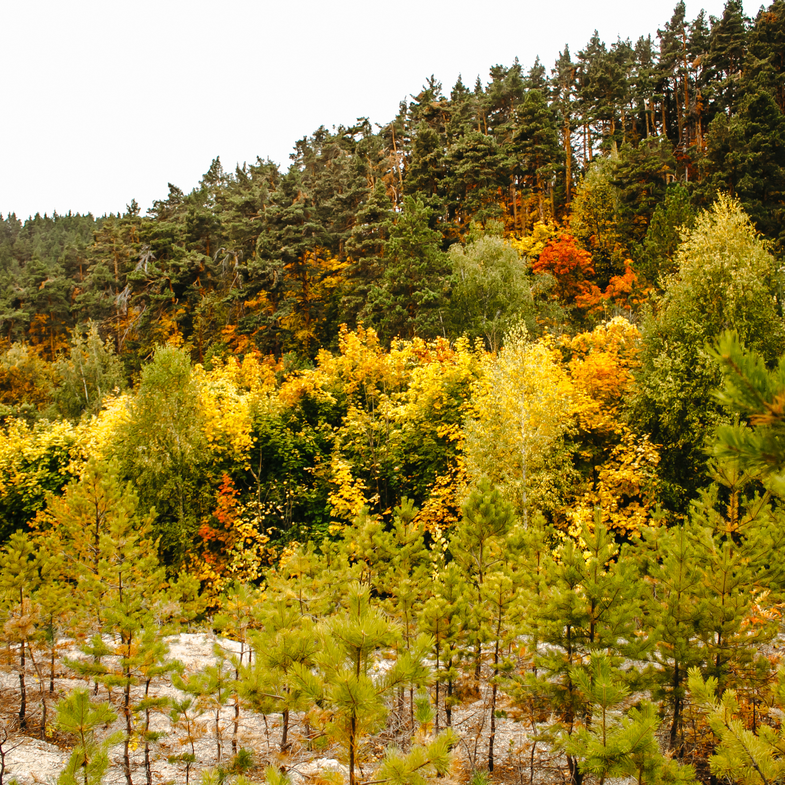 Хвалынский меловой карьер (сентябрь 2019)