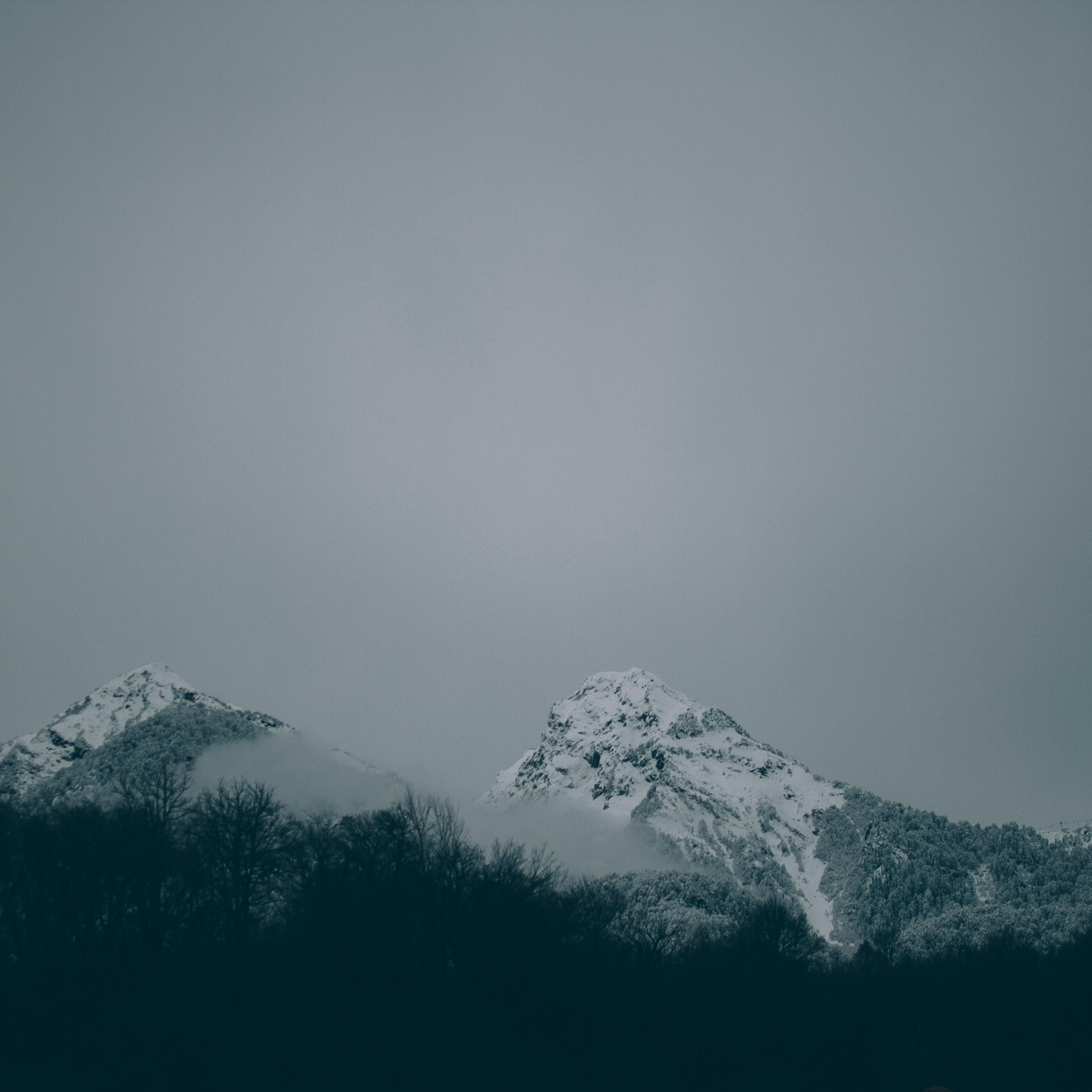 Сочи (декабрь 2017)