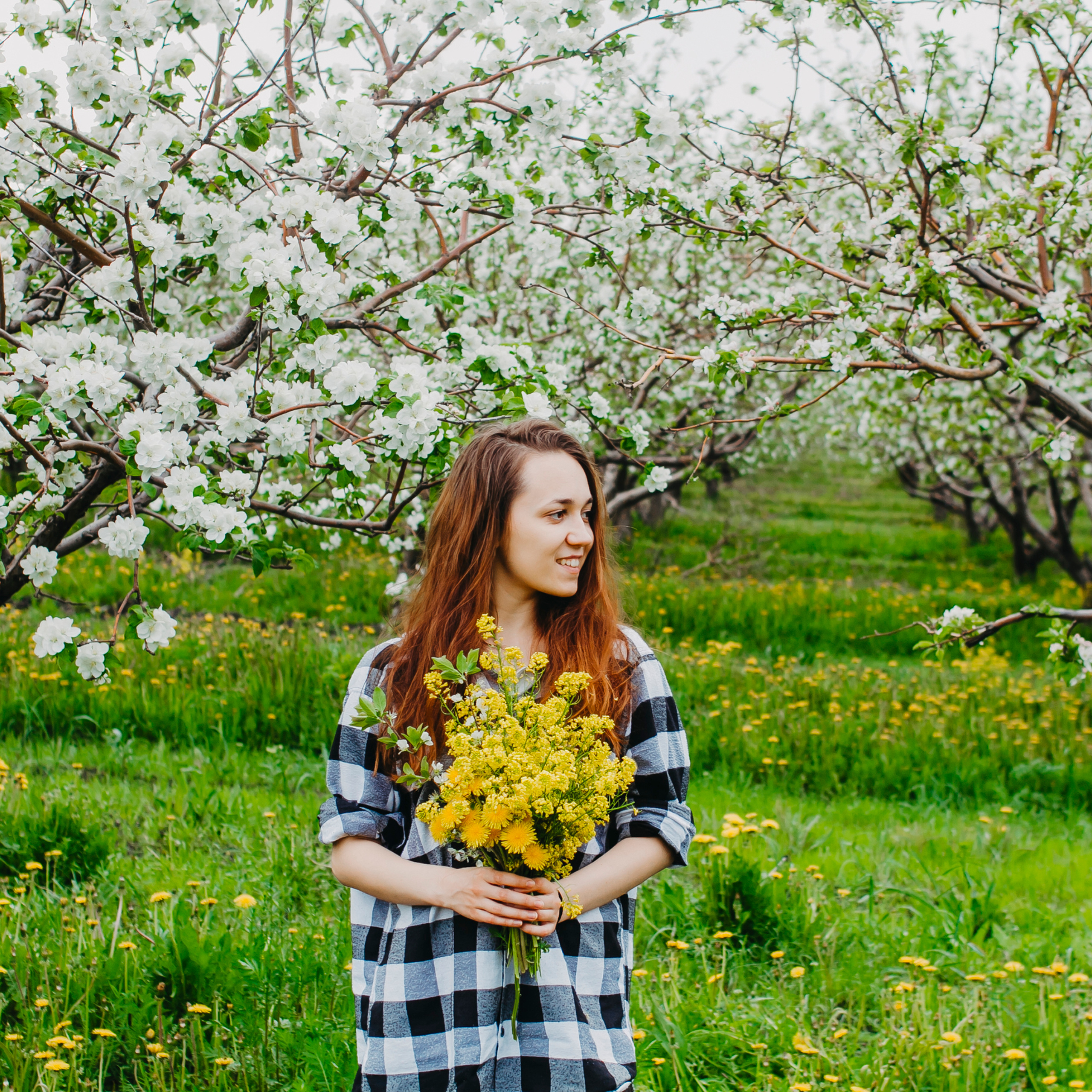 Хвалынские яблоневые сады (май 2019)