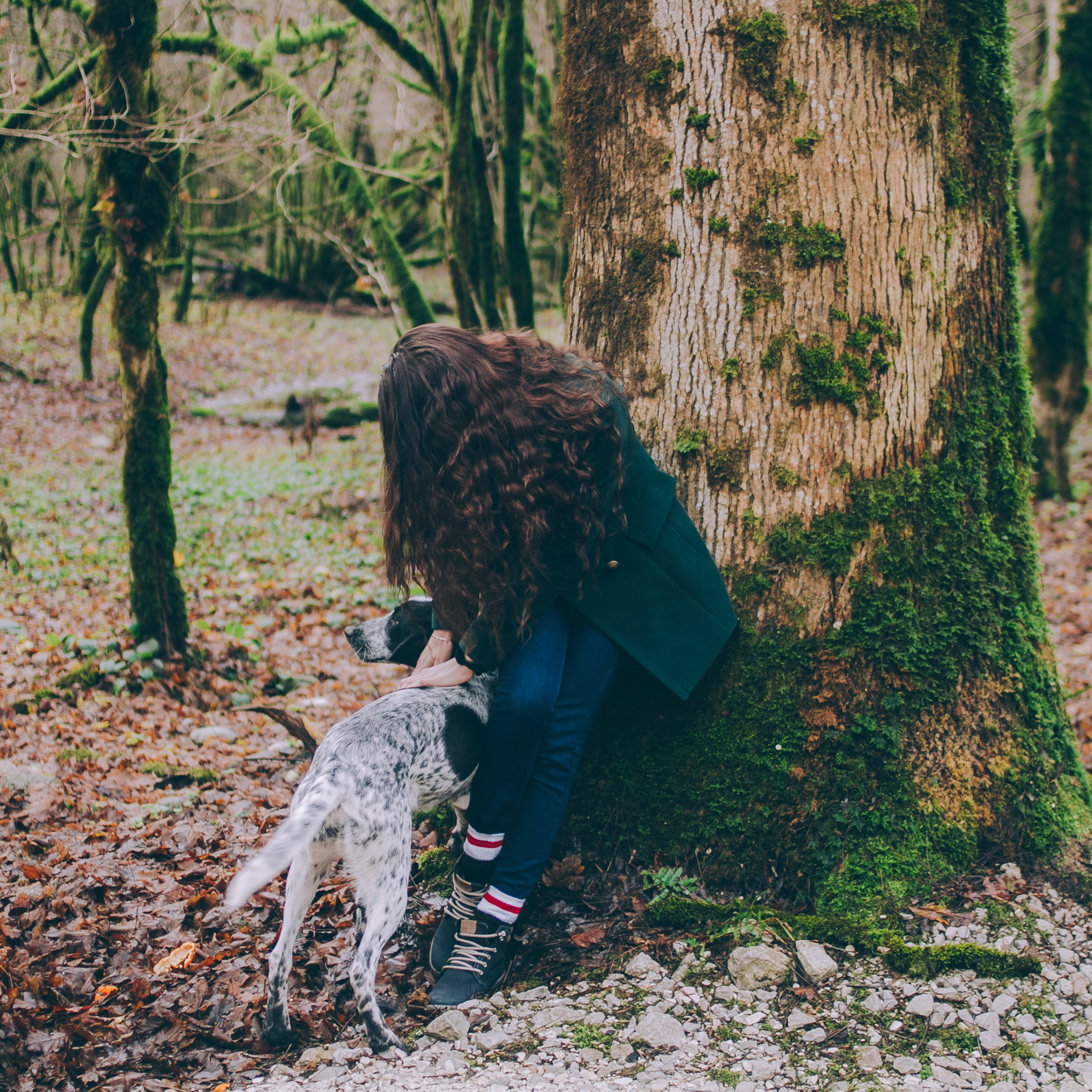 Сочи (декабрь 2017)