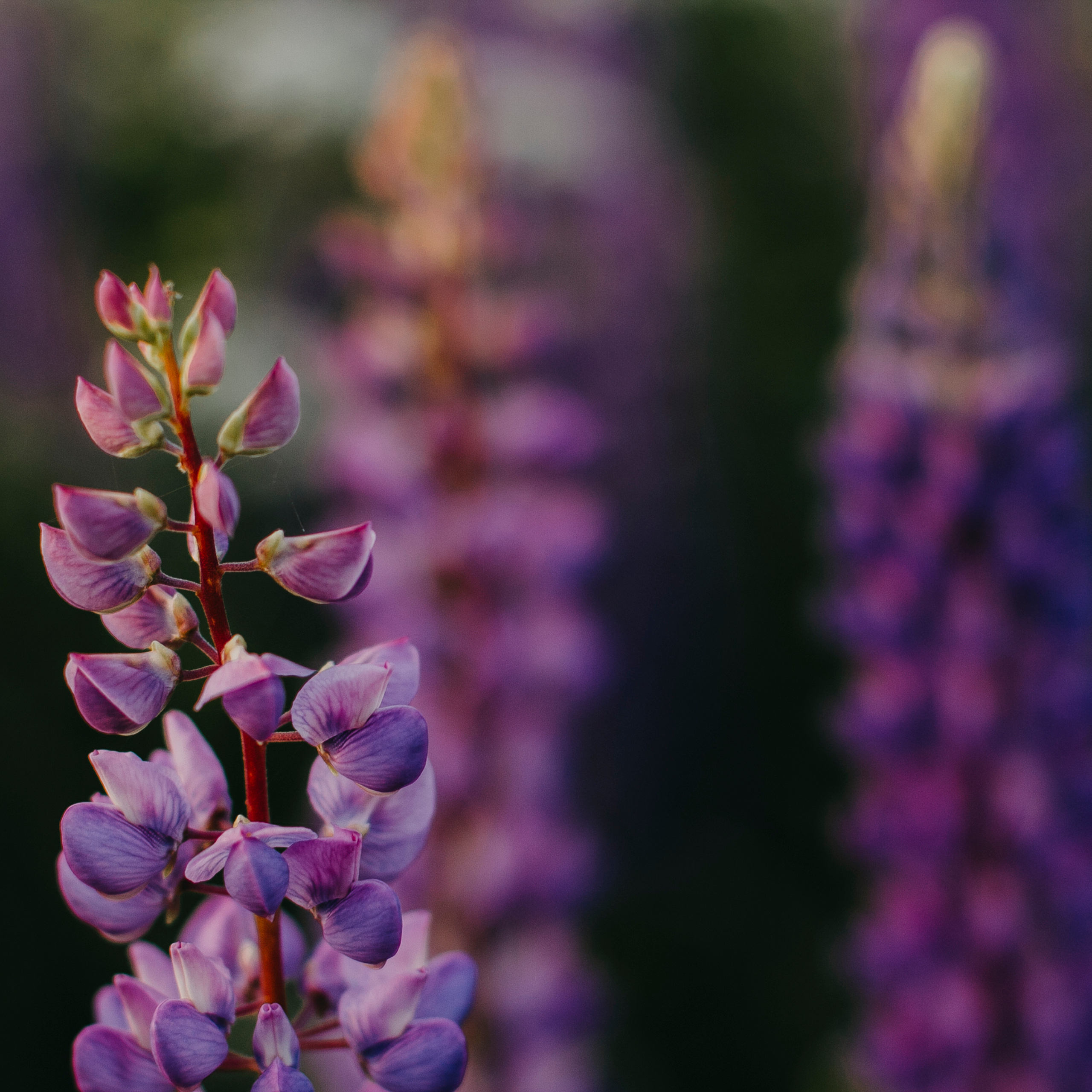 Турбаза Алоль (июнь 2019)