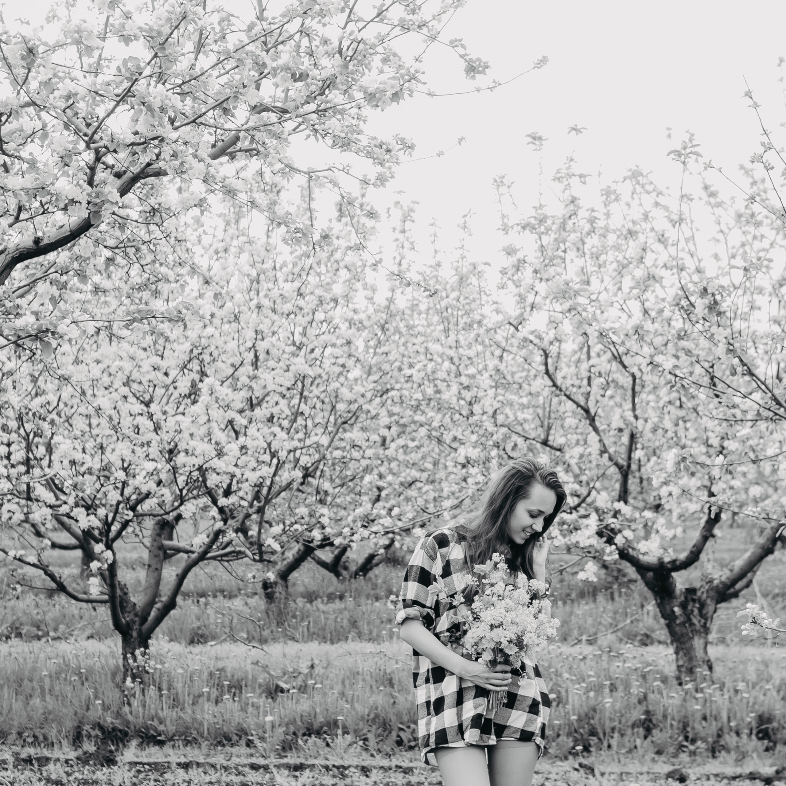 Хвалынские яблоневые сады (май 2019)