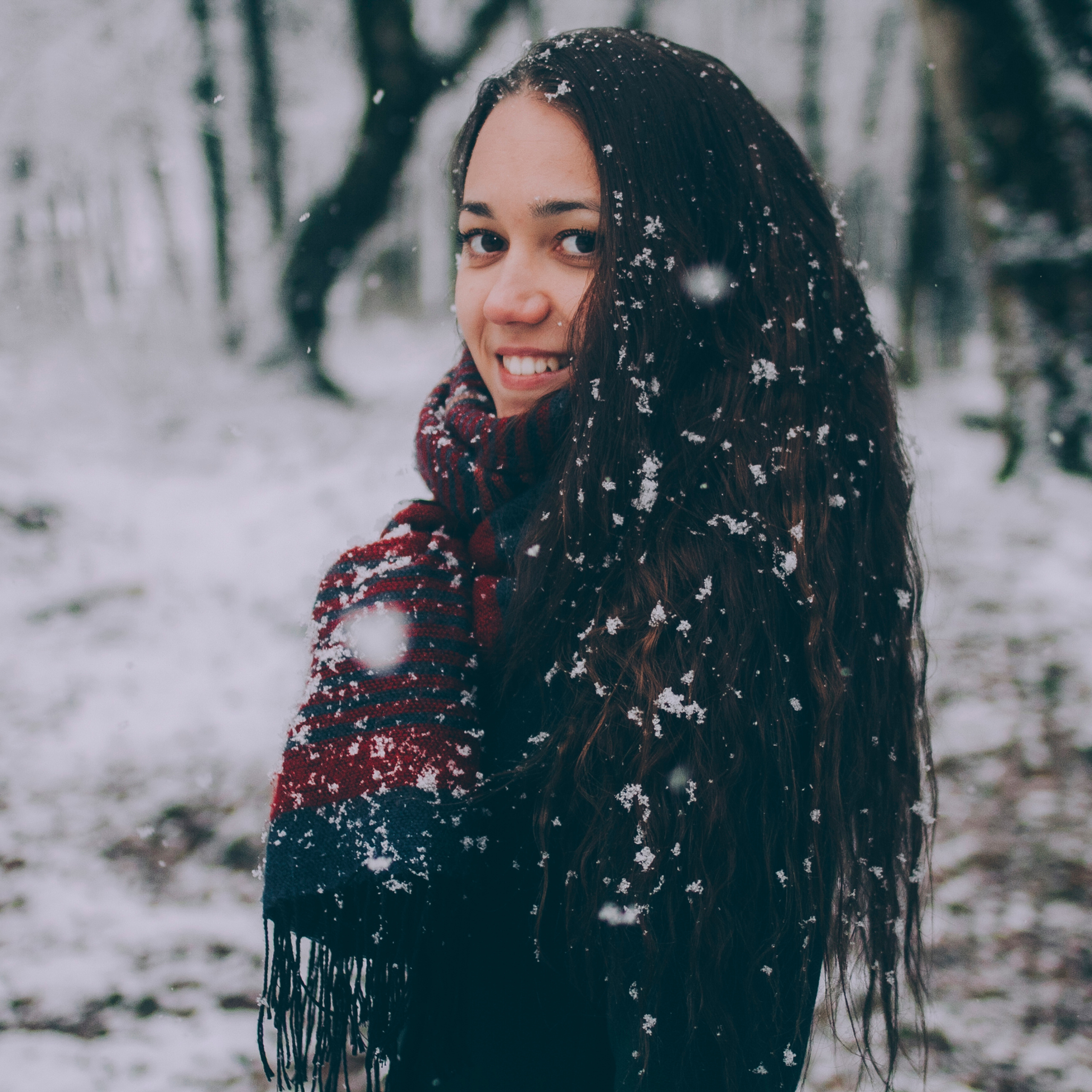 Сочи (декабрь 2017)