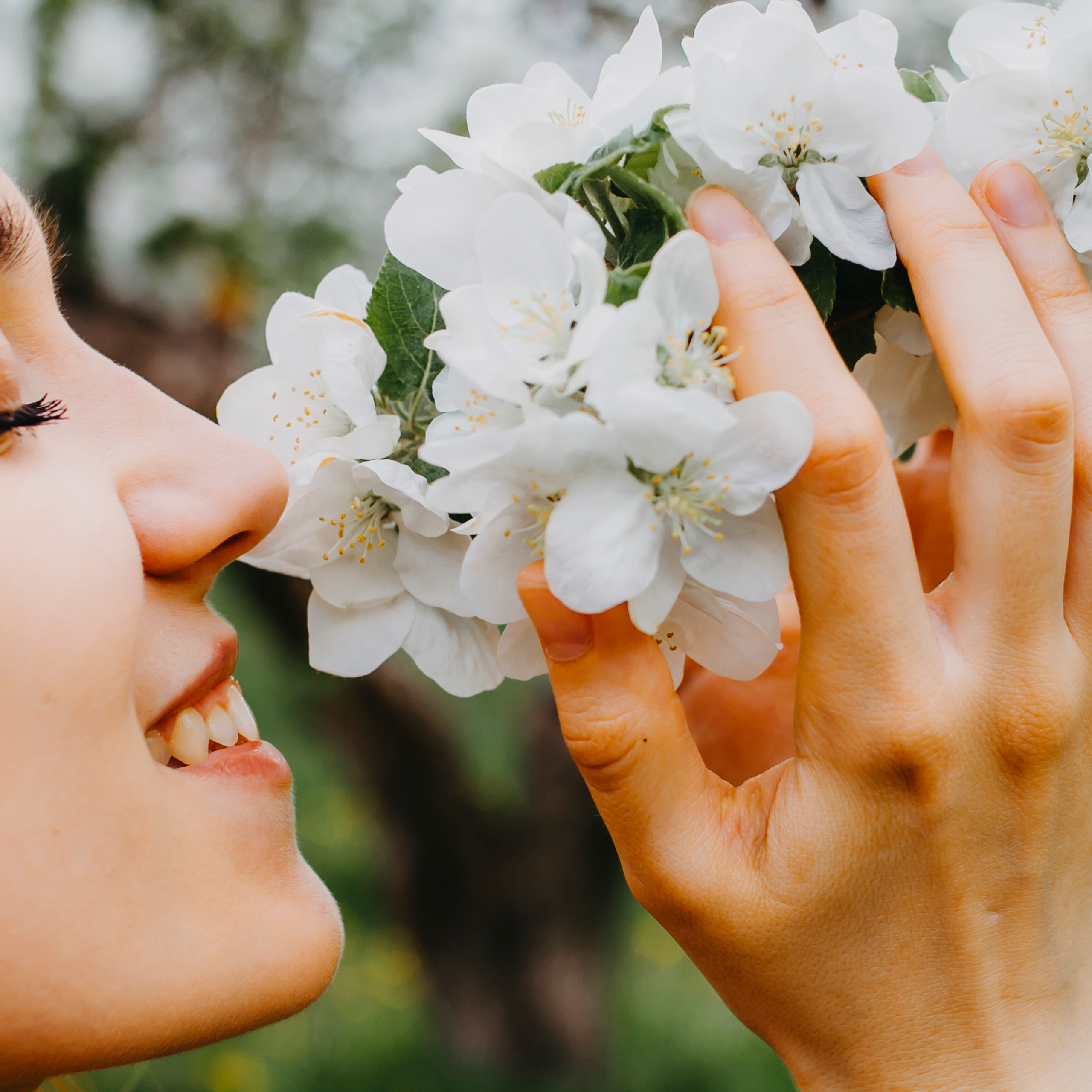 Хвалынские яблоневые сады (май 2019)