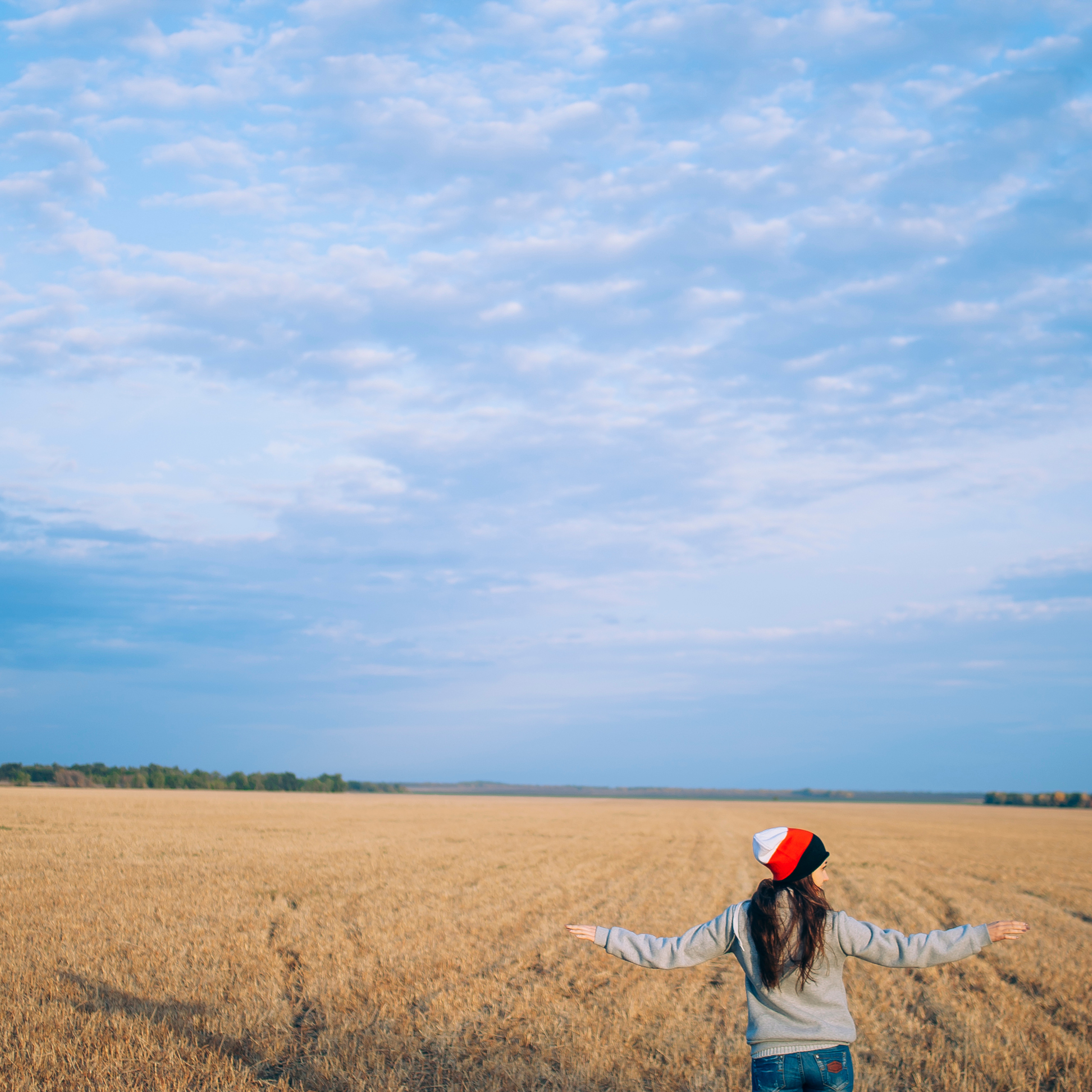 Поле у АЭС Балаково (октябрь 2018)