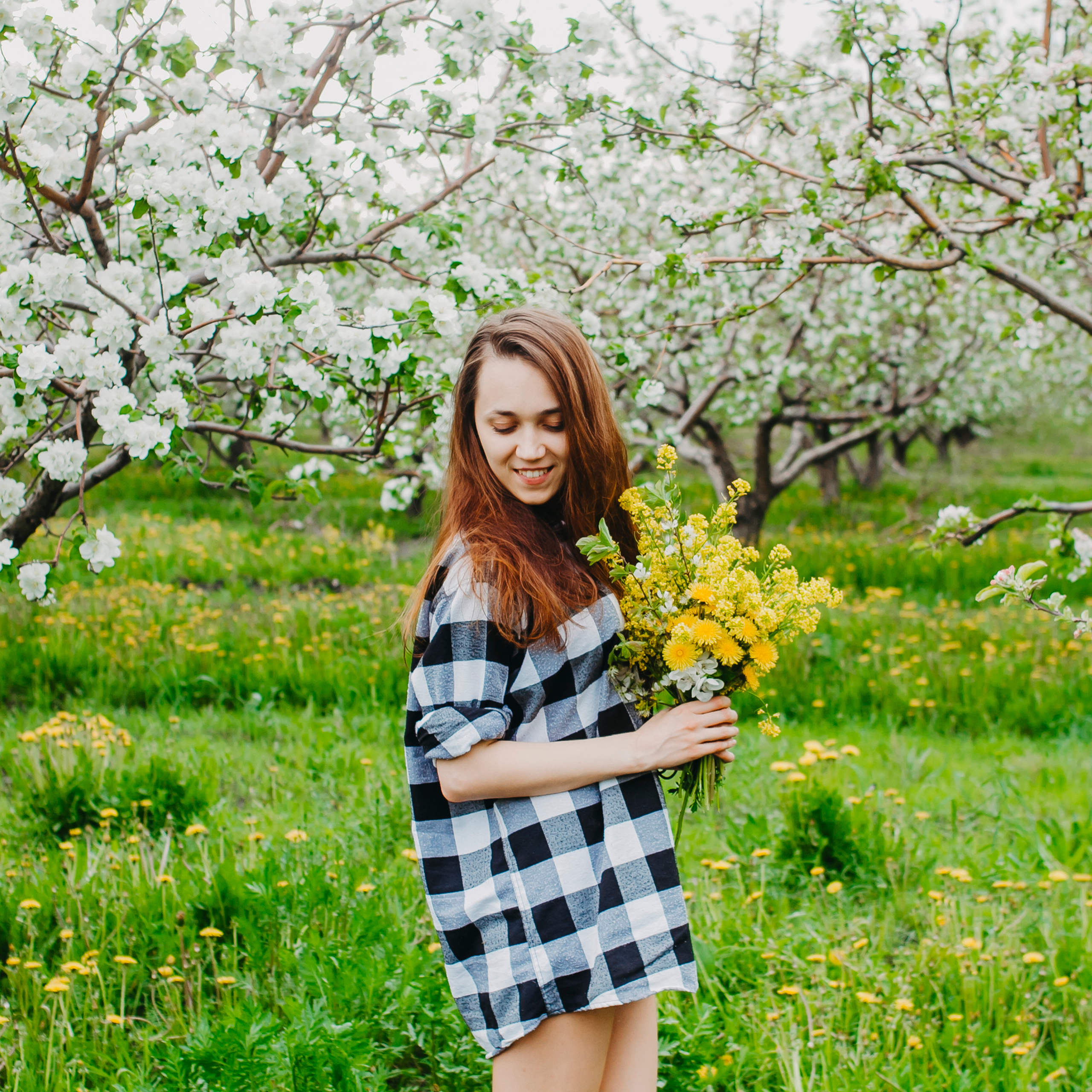 Хвалынские яблоневые сады (май 2019)