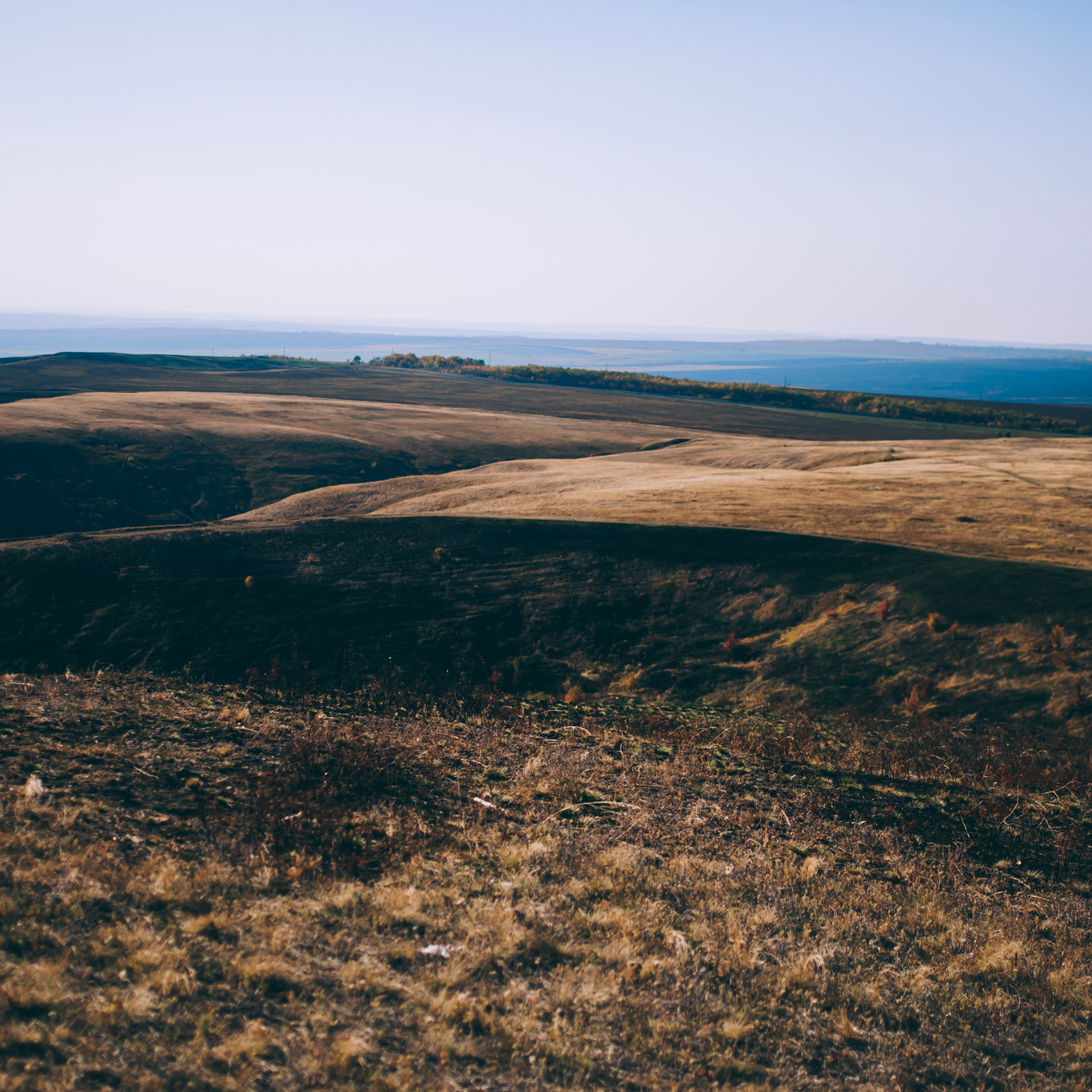 Поле у АЭС Балаково (октябрь 2018)